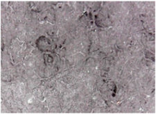 Materials 14 05609 i013