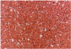 Materials 14 05609 i016