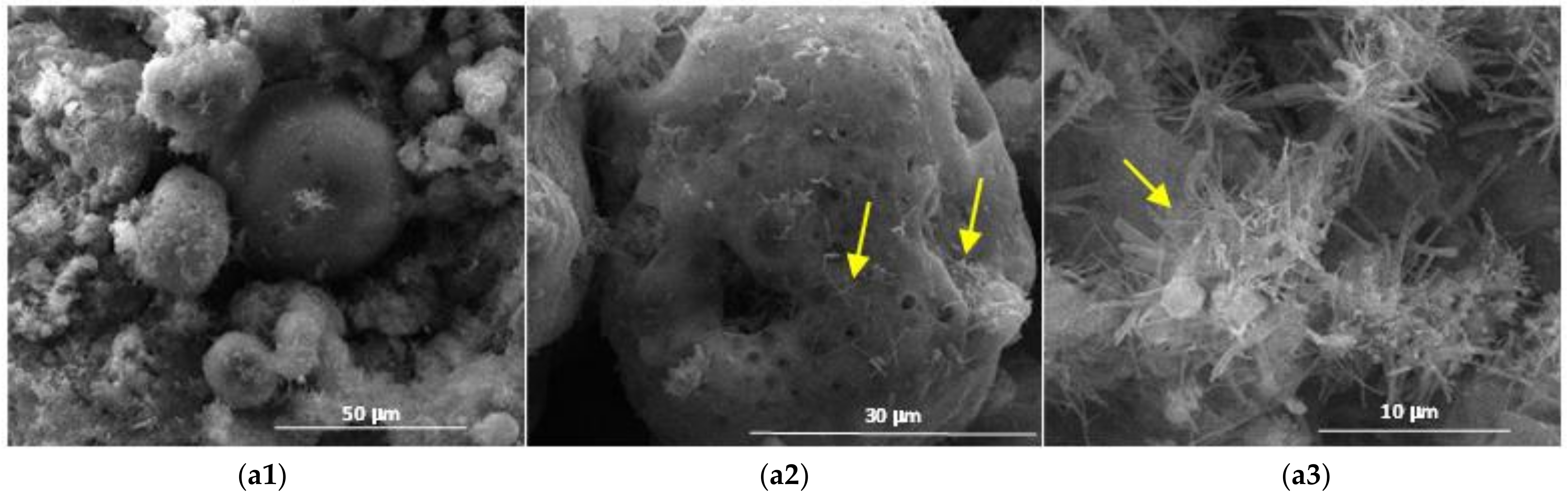 Materials 14 05610 g010 550