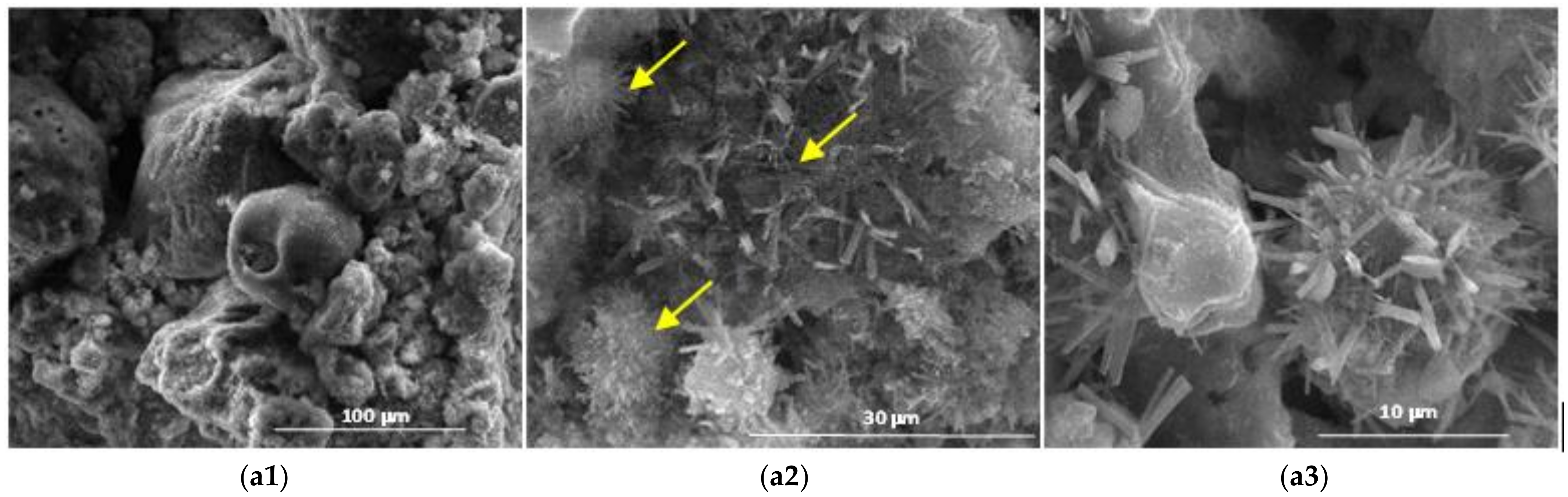 Materials 14 05610 g011 550