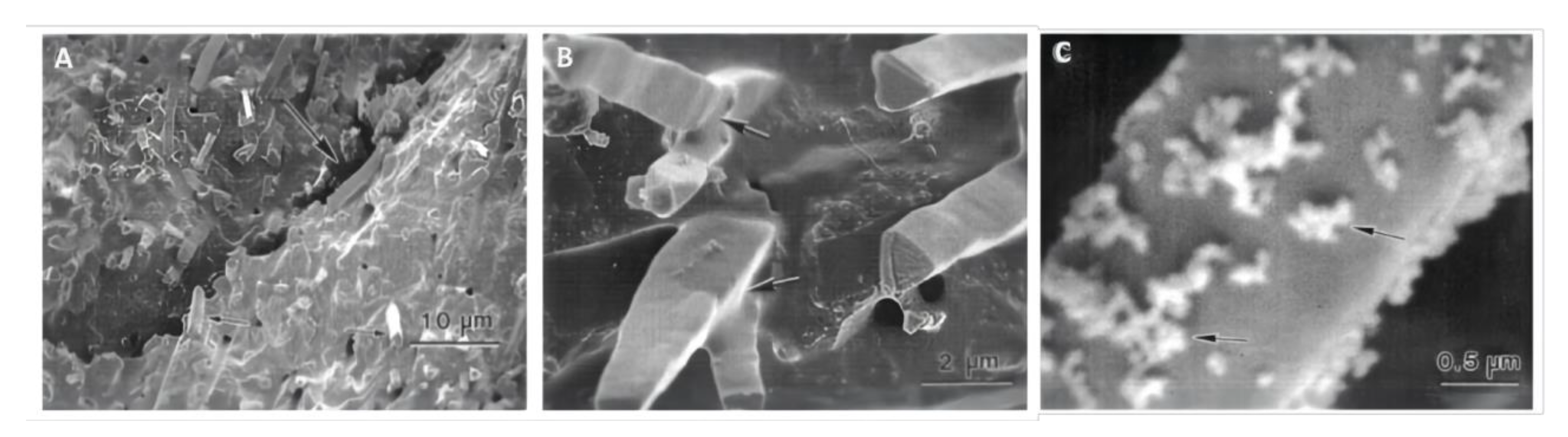 Materials 14 05612 g003 550