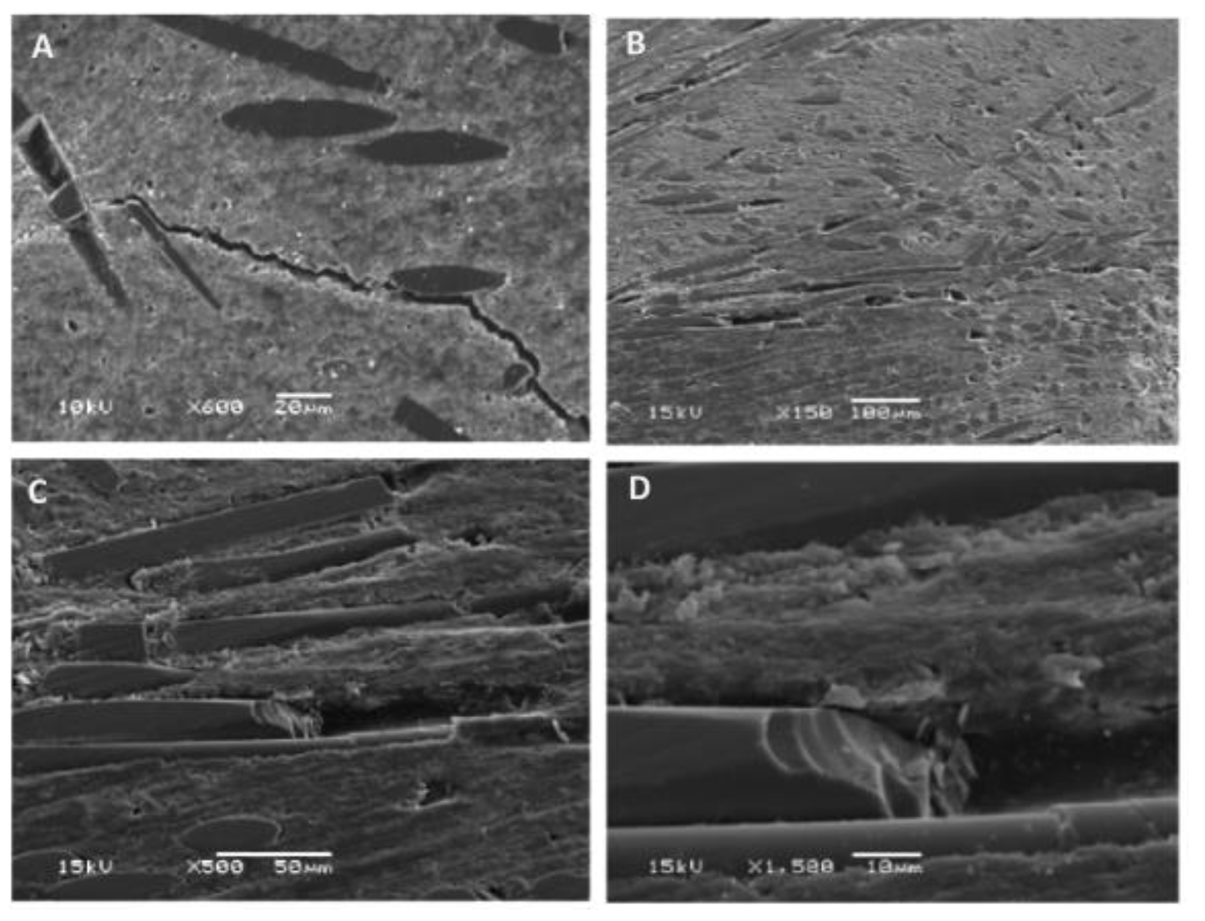 Materials 14 05612 g004 550