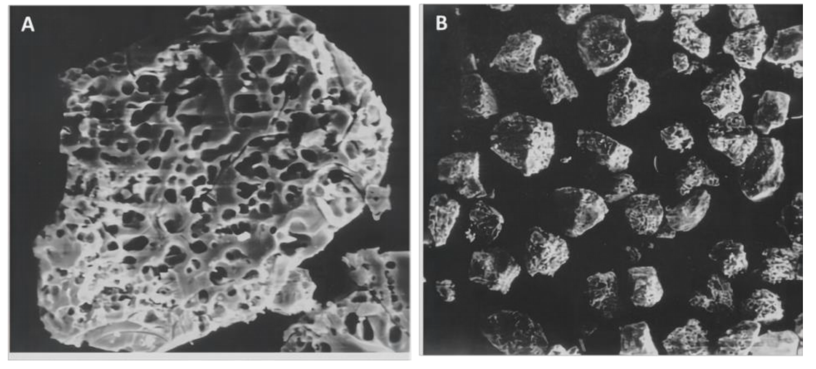 Materials 14 05612 g006 550