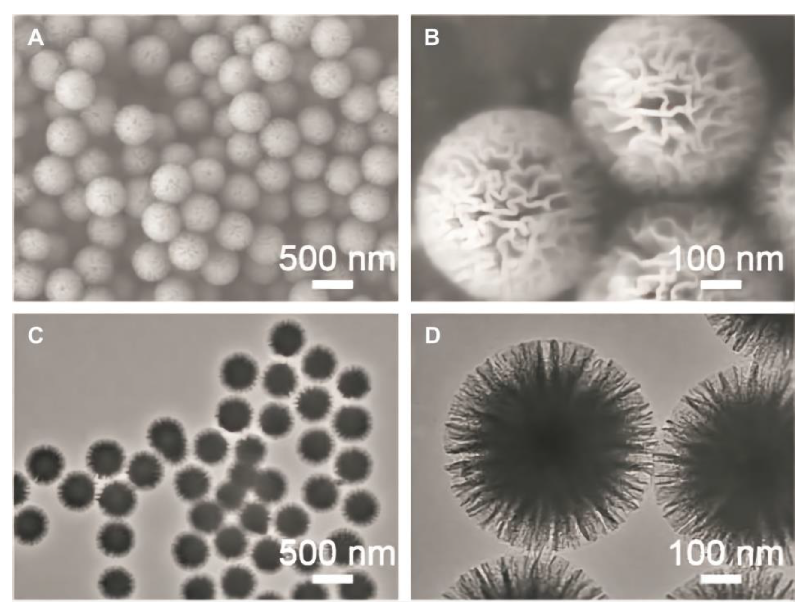 Materials 14 05612 g007 550