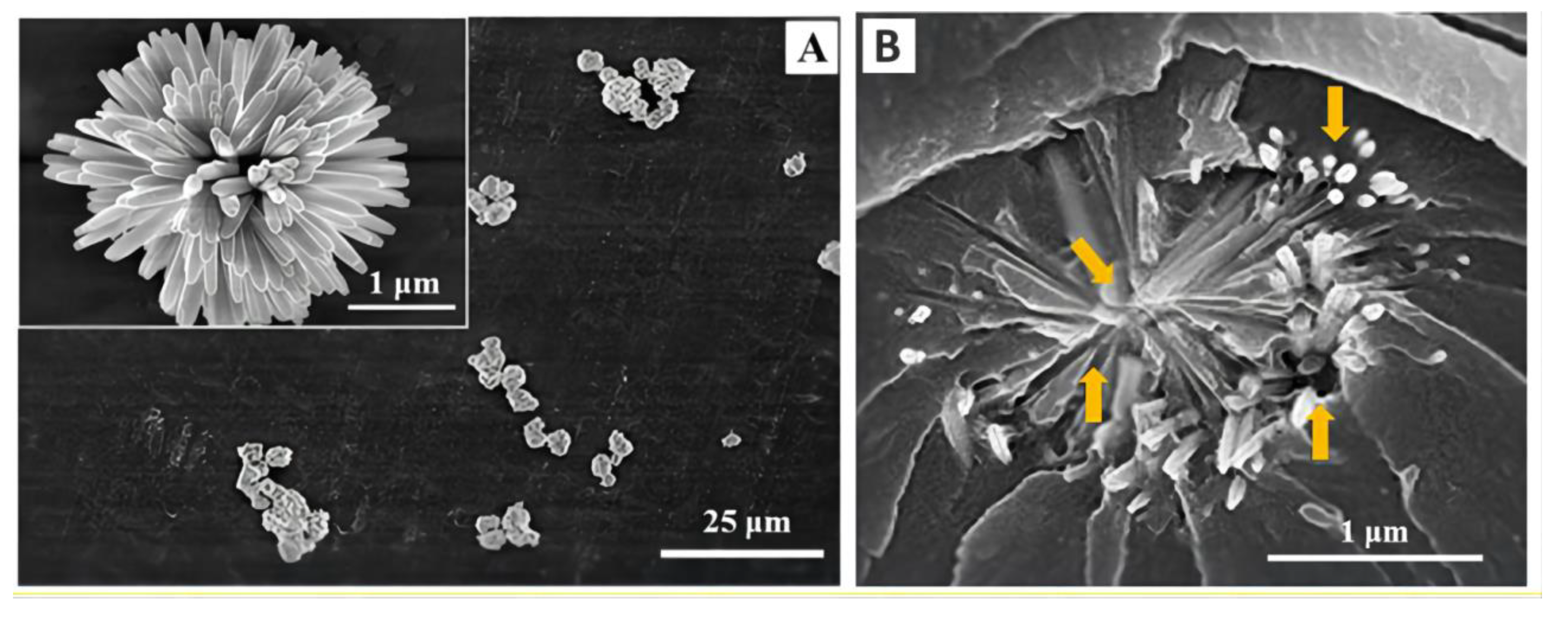Materials 14 05612 g008 550