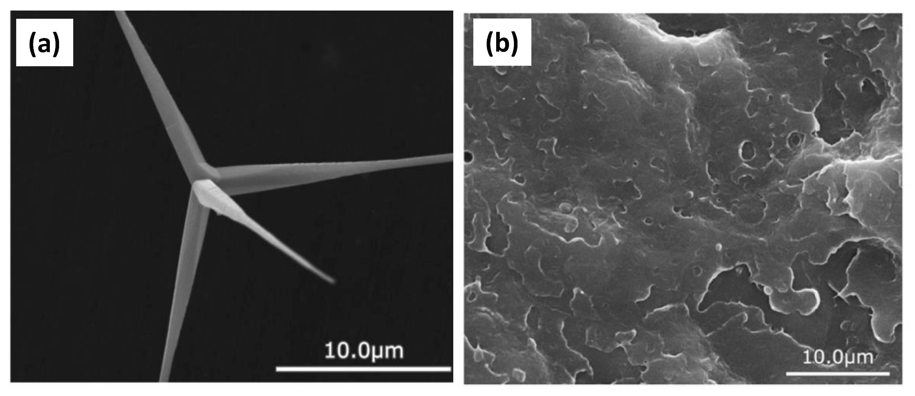 Materials 14 05612 g010 550