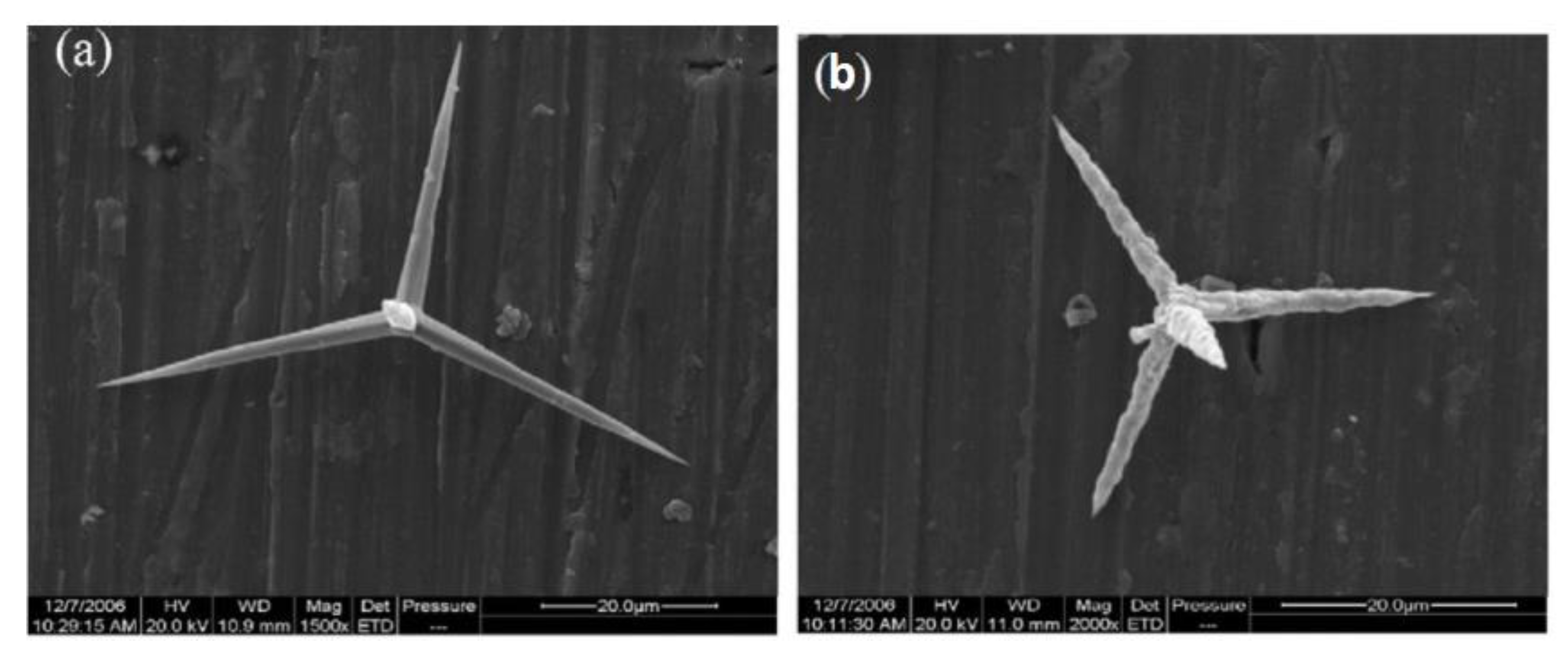 Materials 14 05612 g011 550