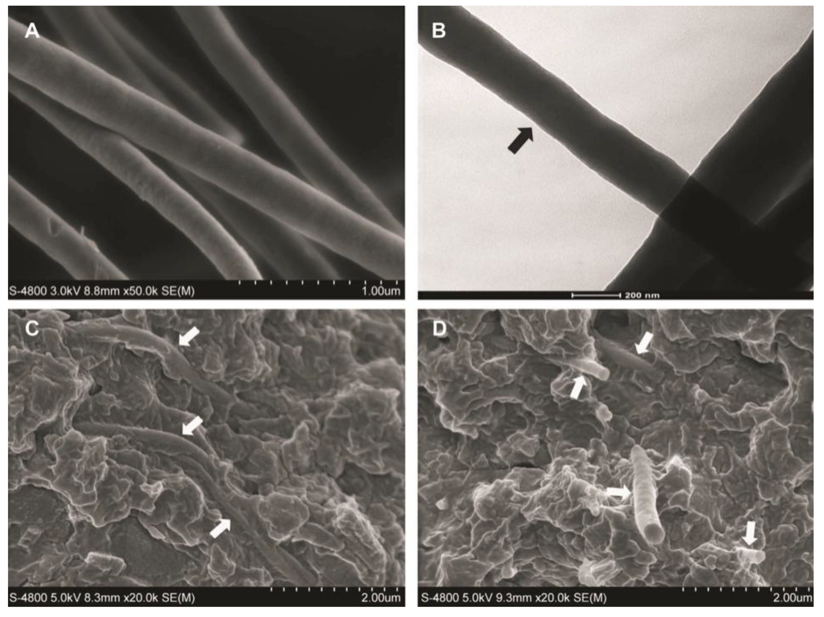 Materials 14 05612 g013 550