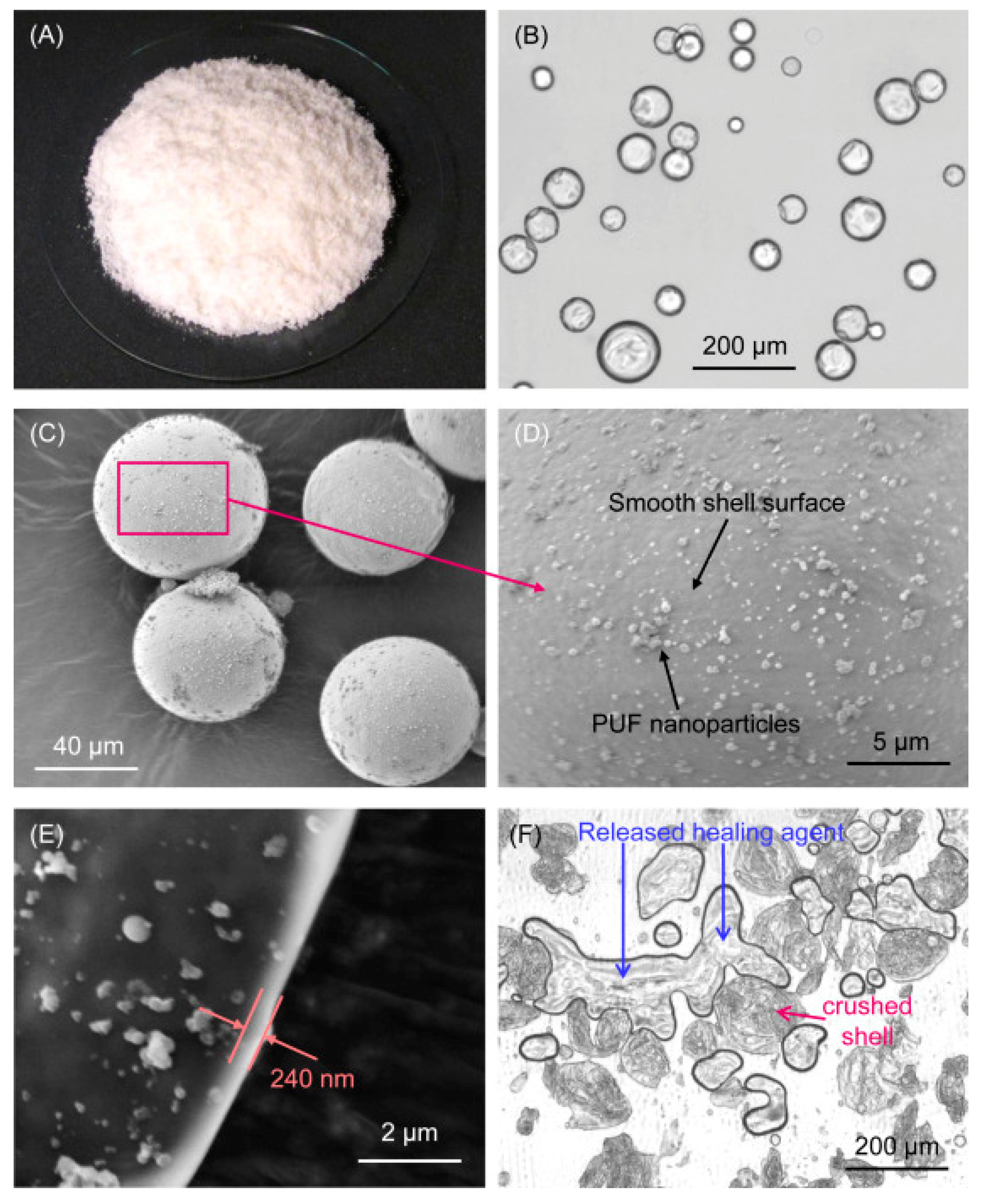 Materials 14 05612 g015 550