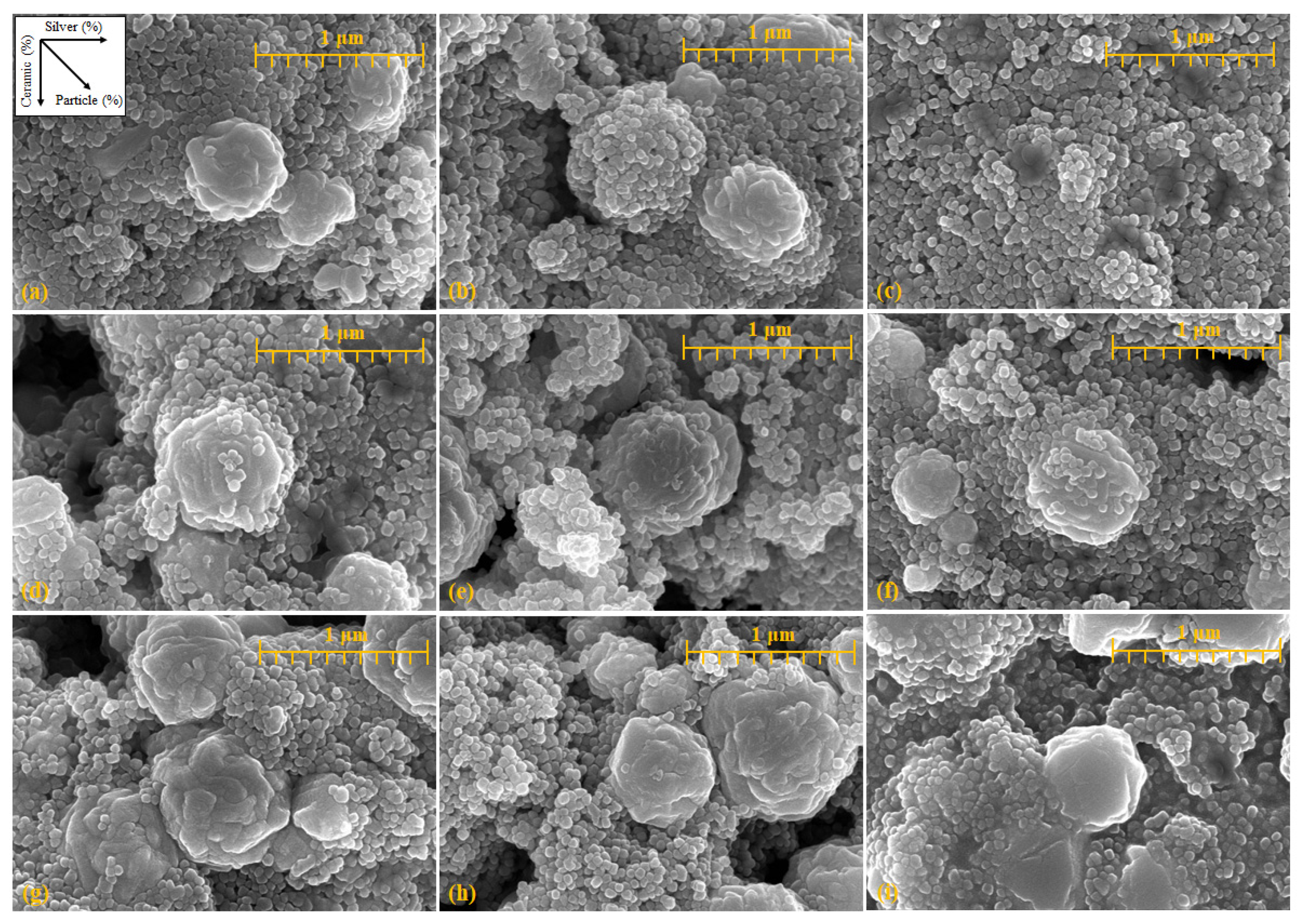 Materials 14 05623 g002 550