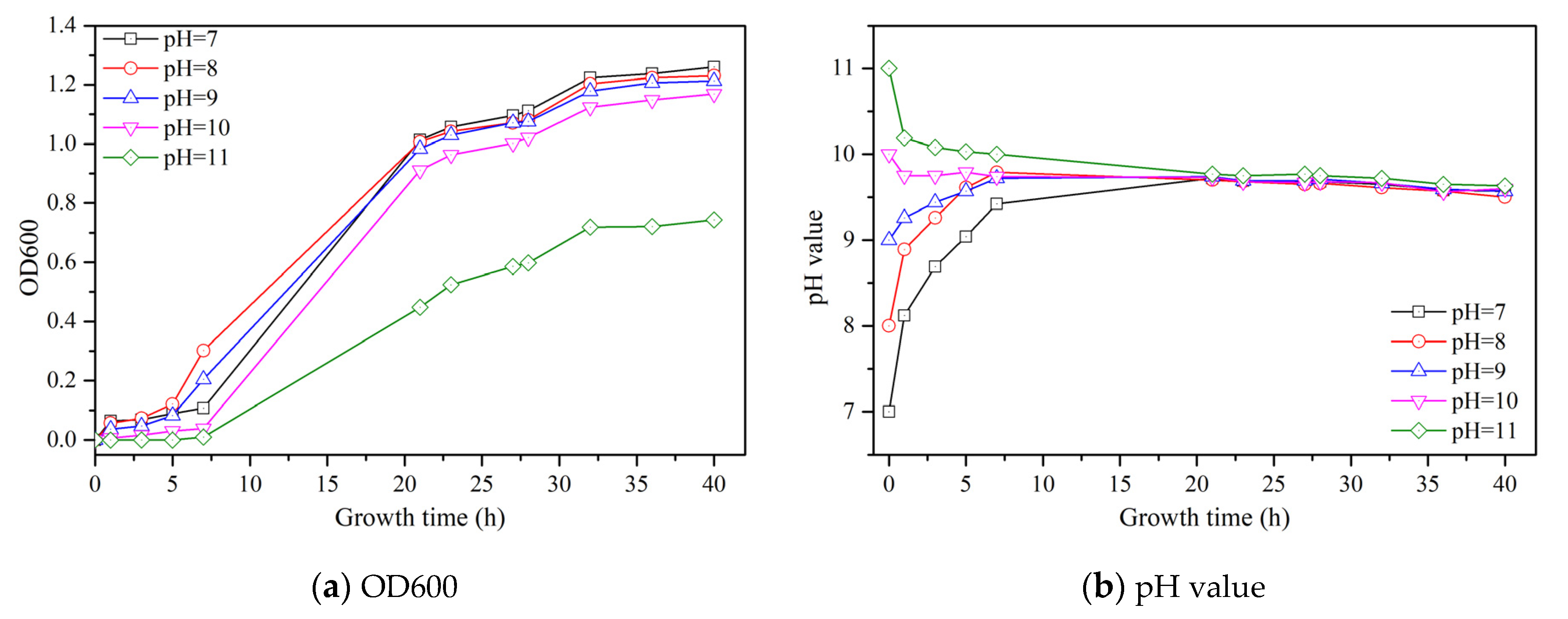 Materials 14 05631 g001a 550