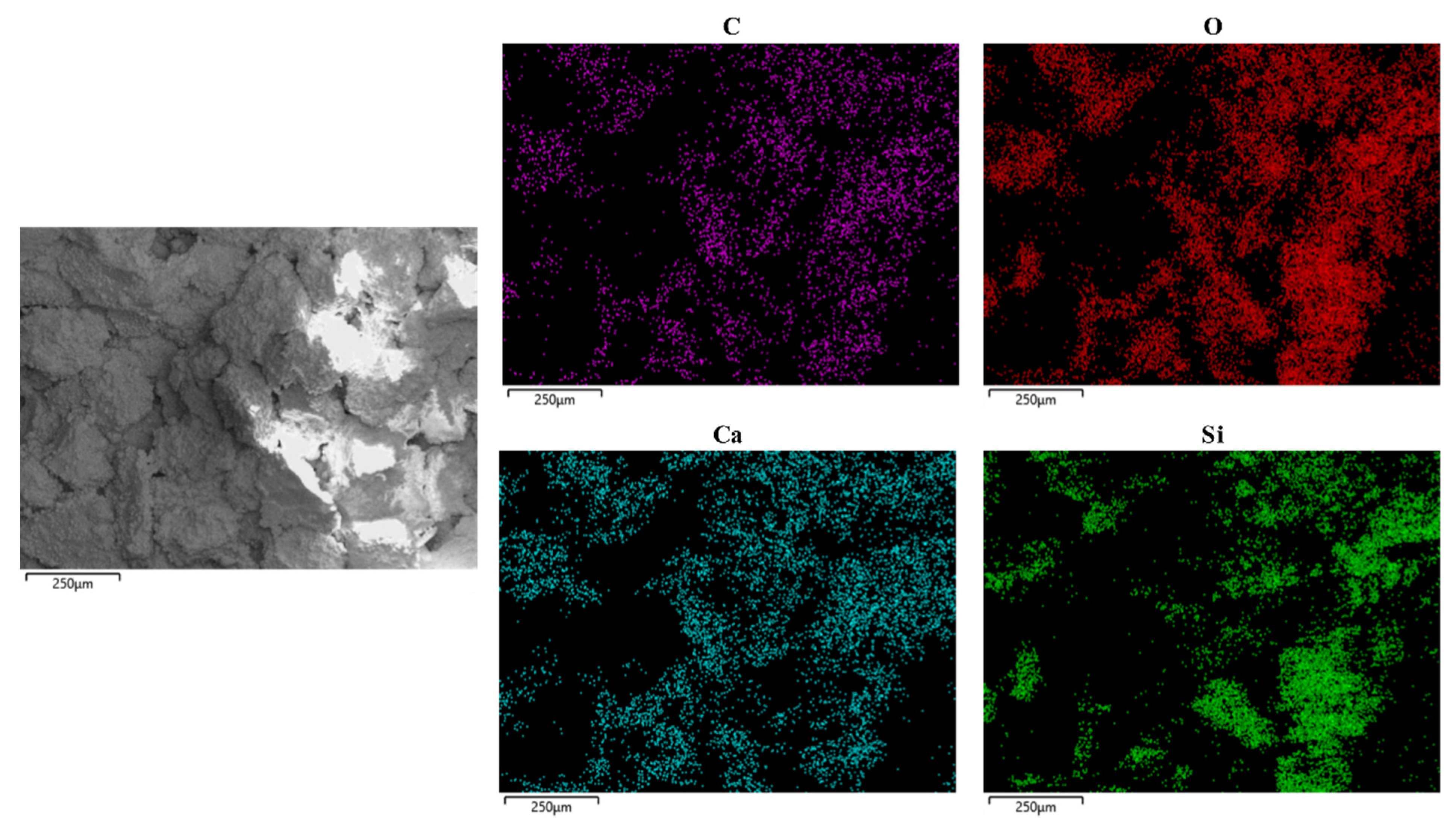 Materials 14 05631 g008 550