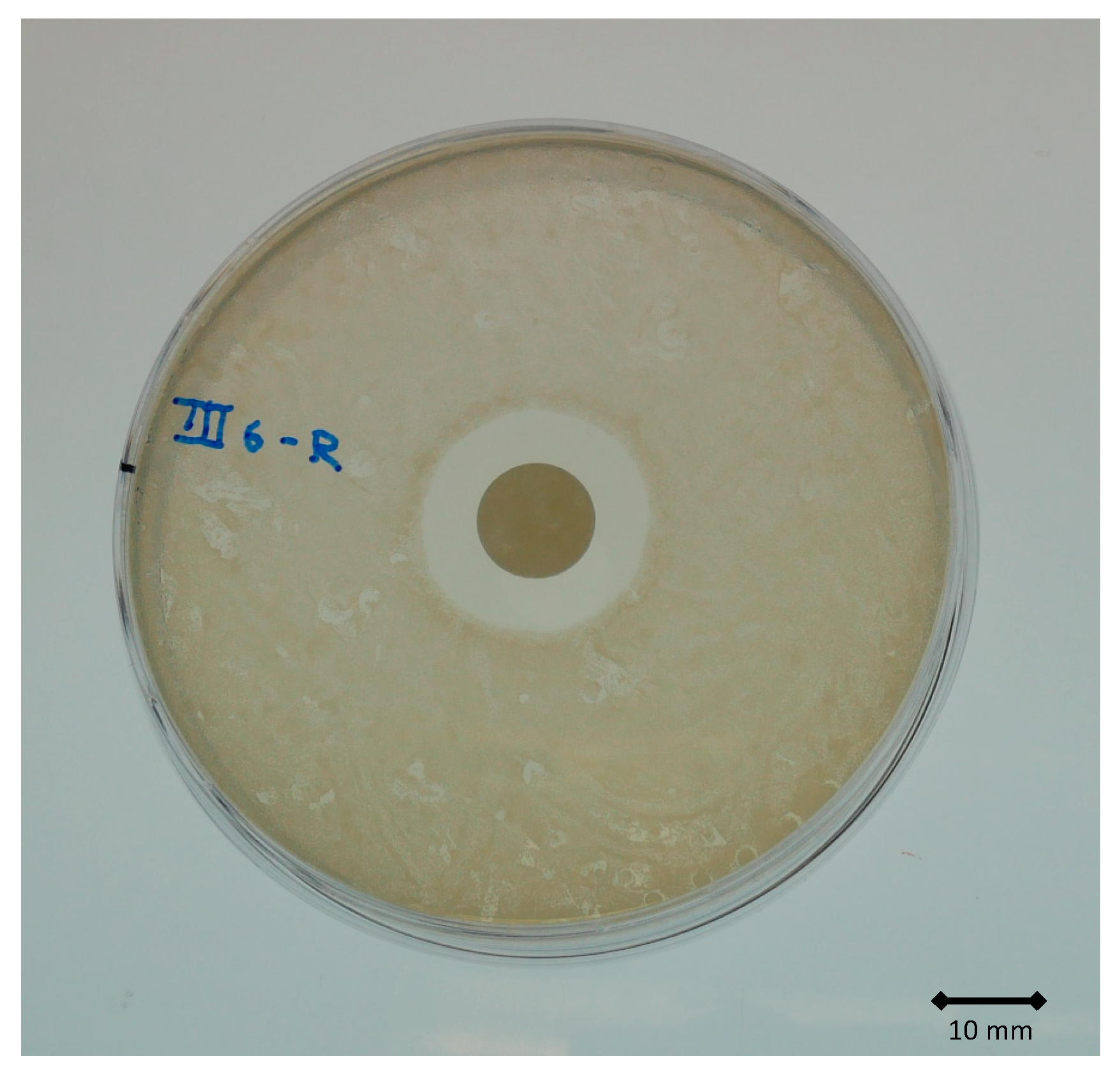 Materials 14 05639 g003 550