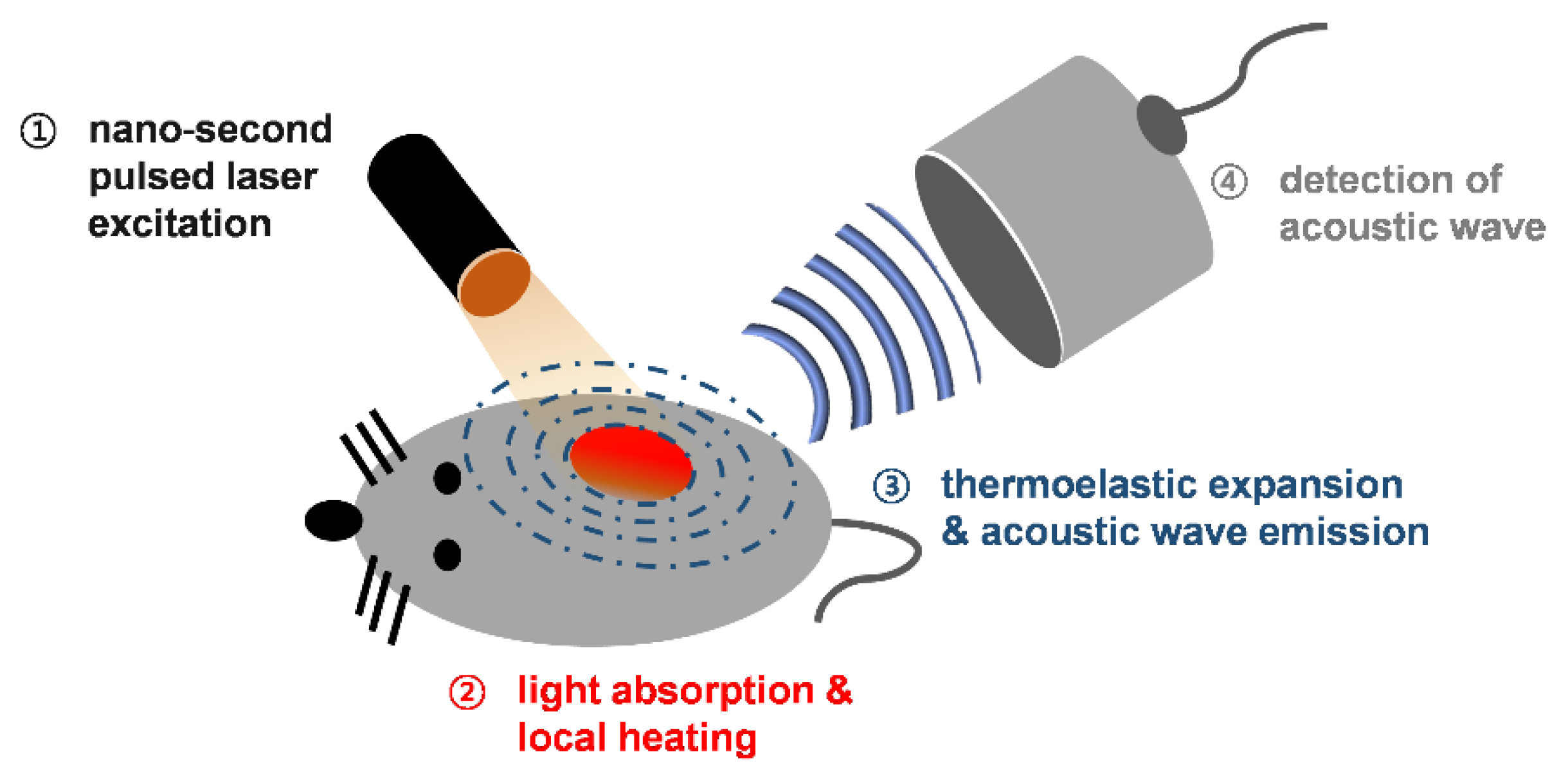 Materials 14 05643 g001 Materials 14 05643 g001