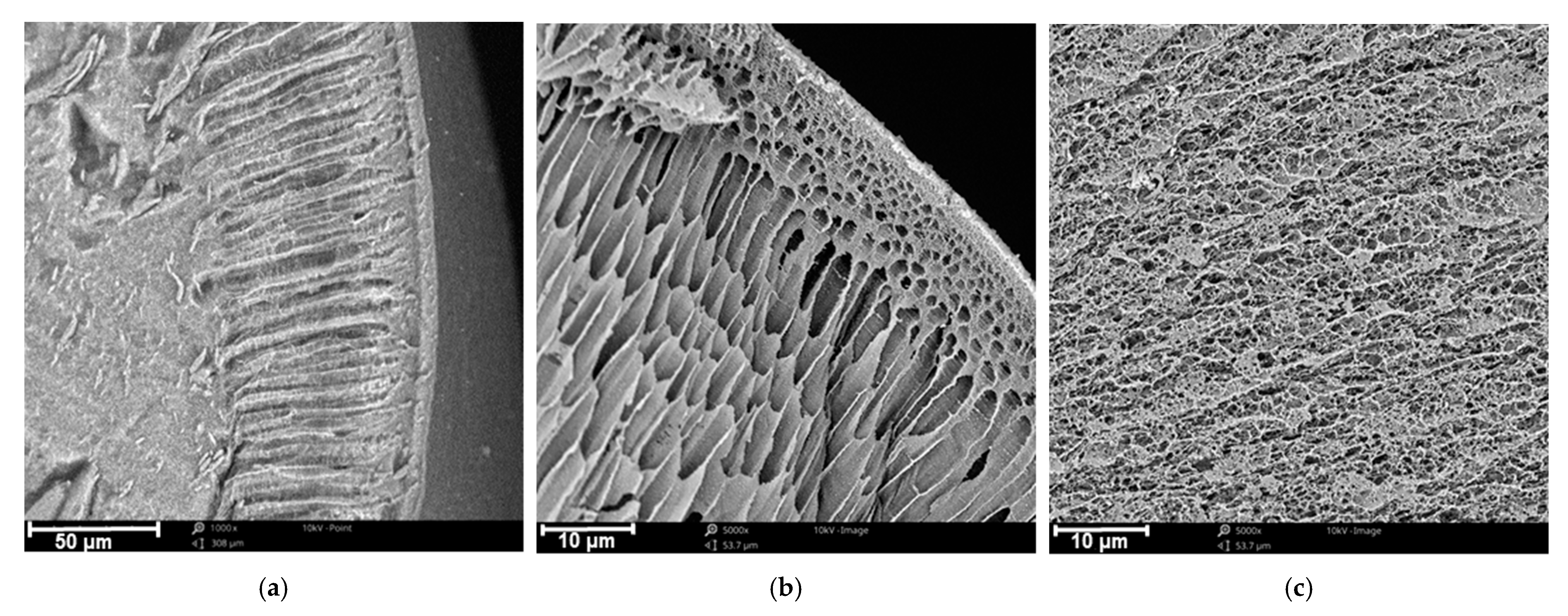 Materials 14 05646 g003 550