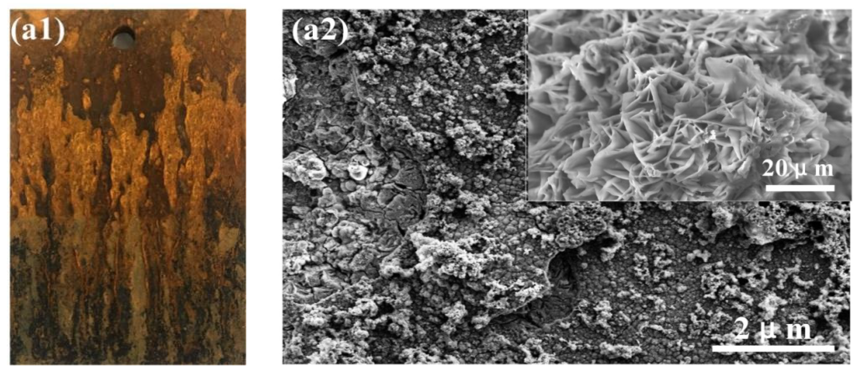 Materials 14 05652 g004a 550