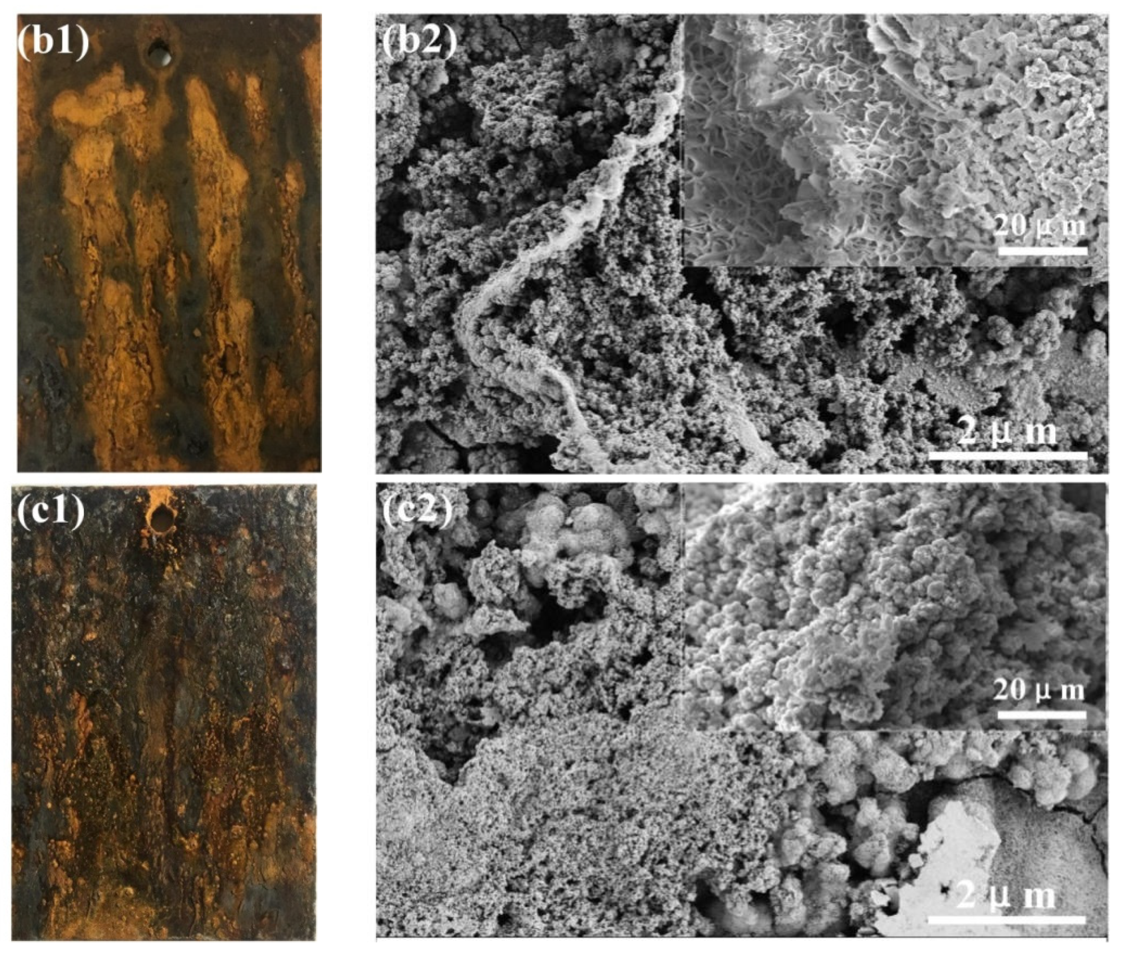 Materials 14 05652 g004b 550