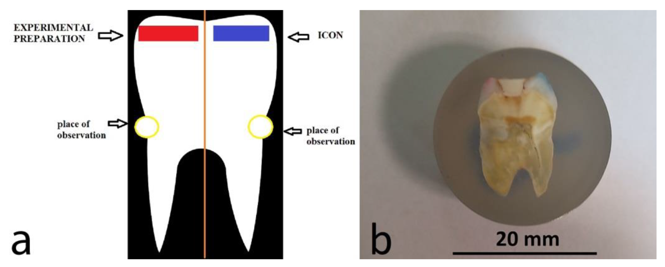 Materials 14 05654 g002 Materials 14 05654 g002