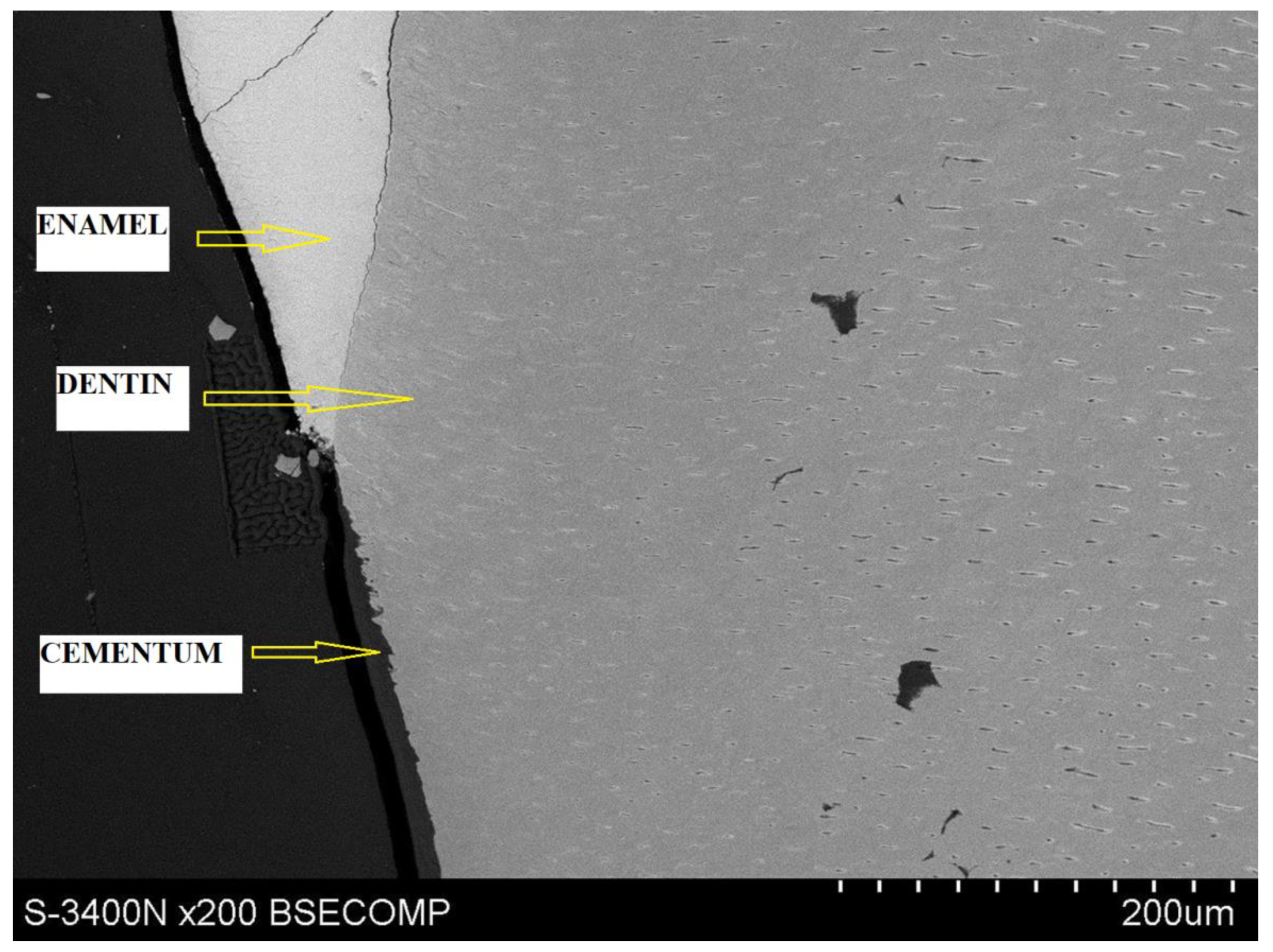 Materials 14 05654 g003 Materials 14 05654 g003