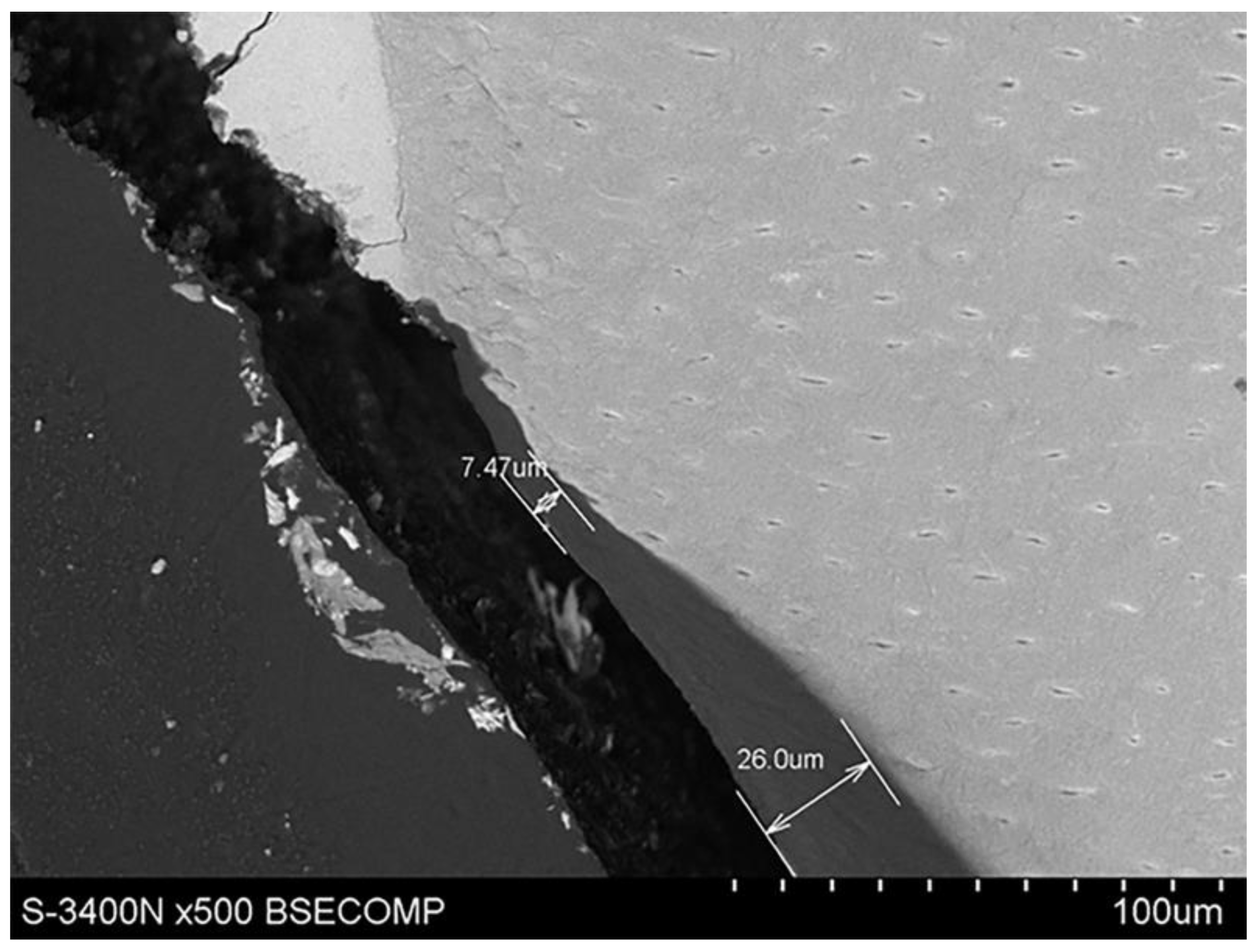 Materials 14 05654 g004 Materials 14 05654 g004