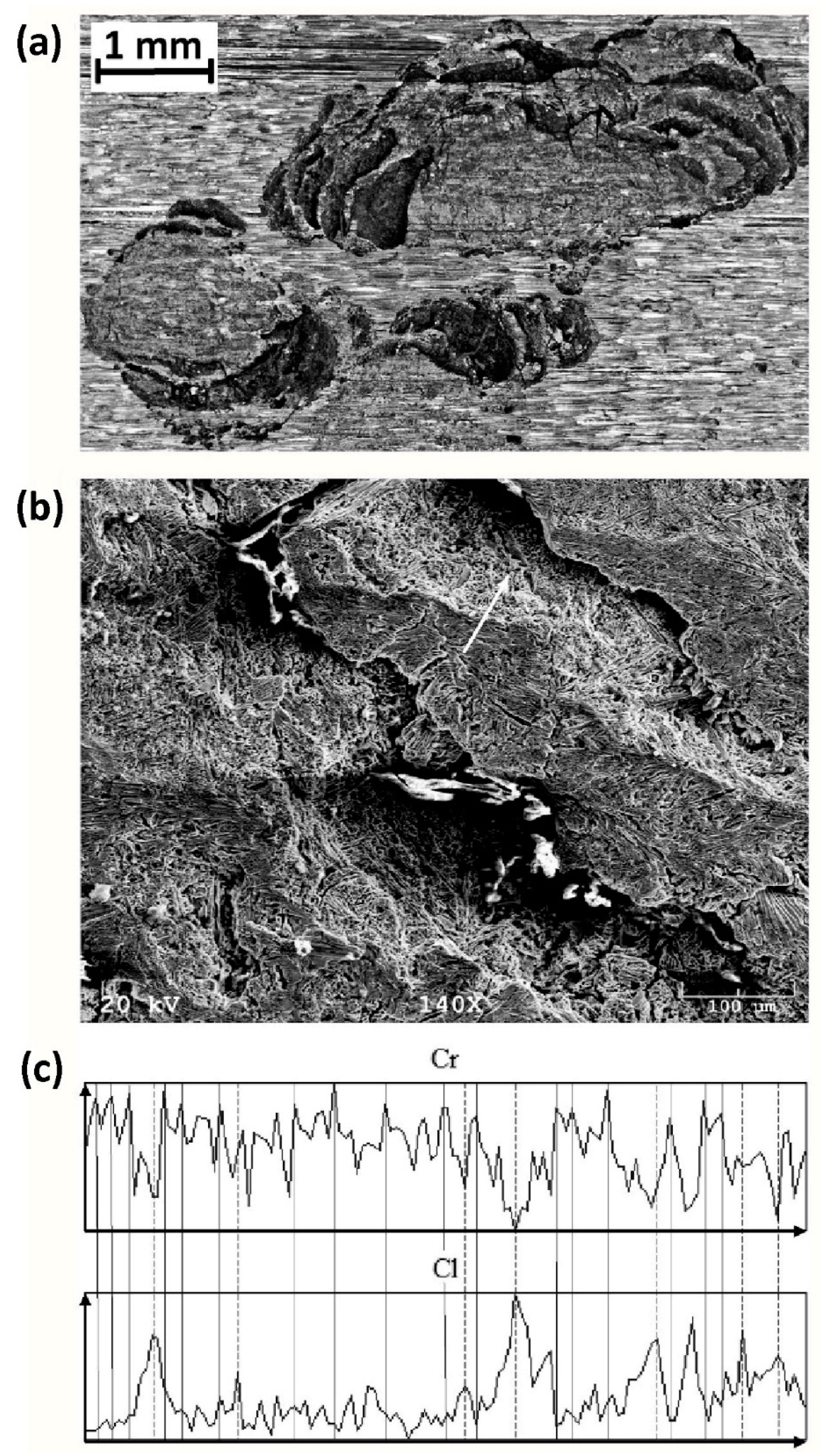 Materials 14 05666 g012