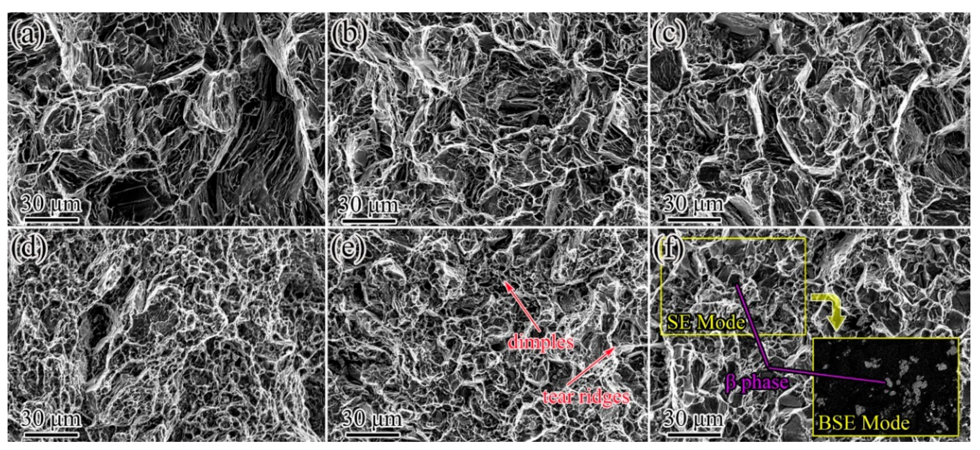 Materials 14 05667 g008 550