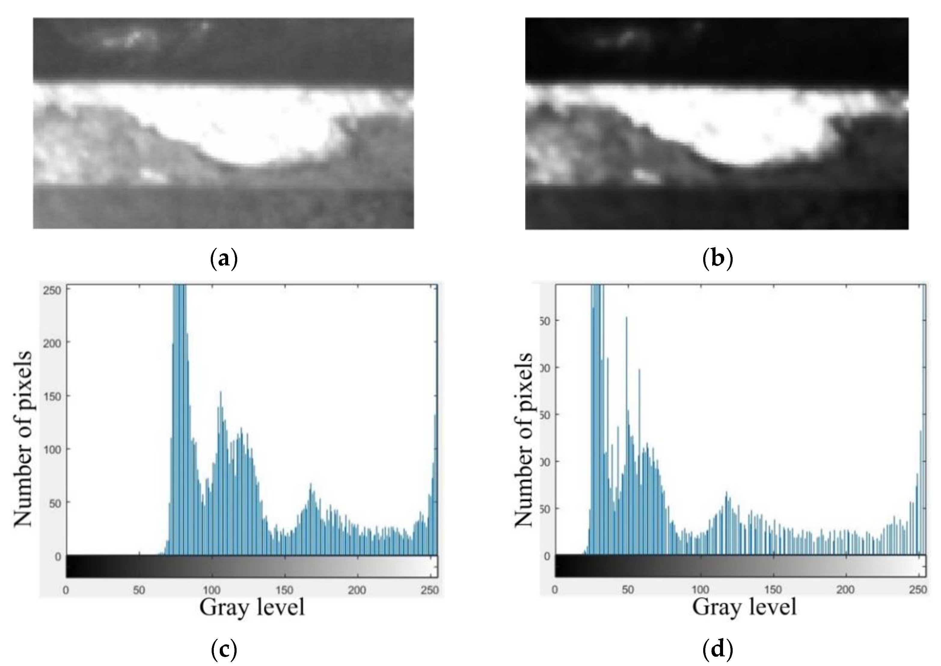 Materials 14 05690 g005 550