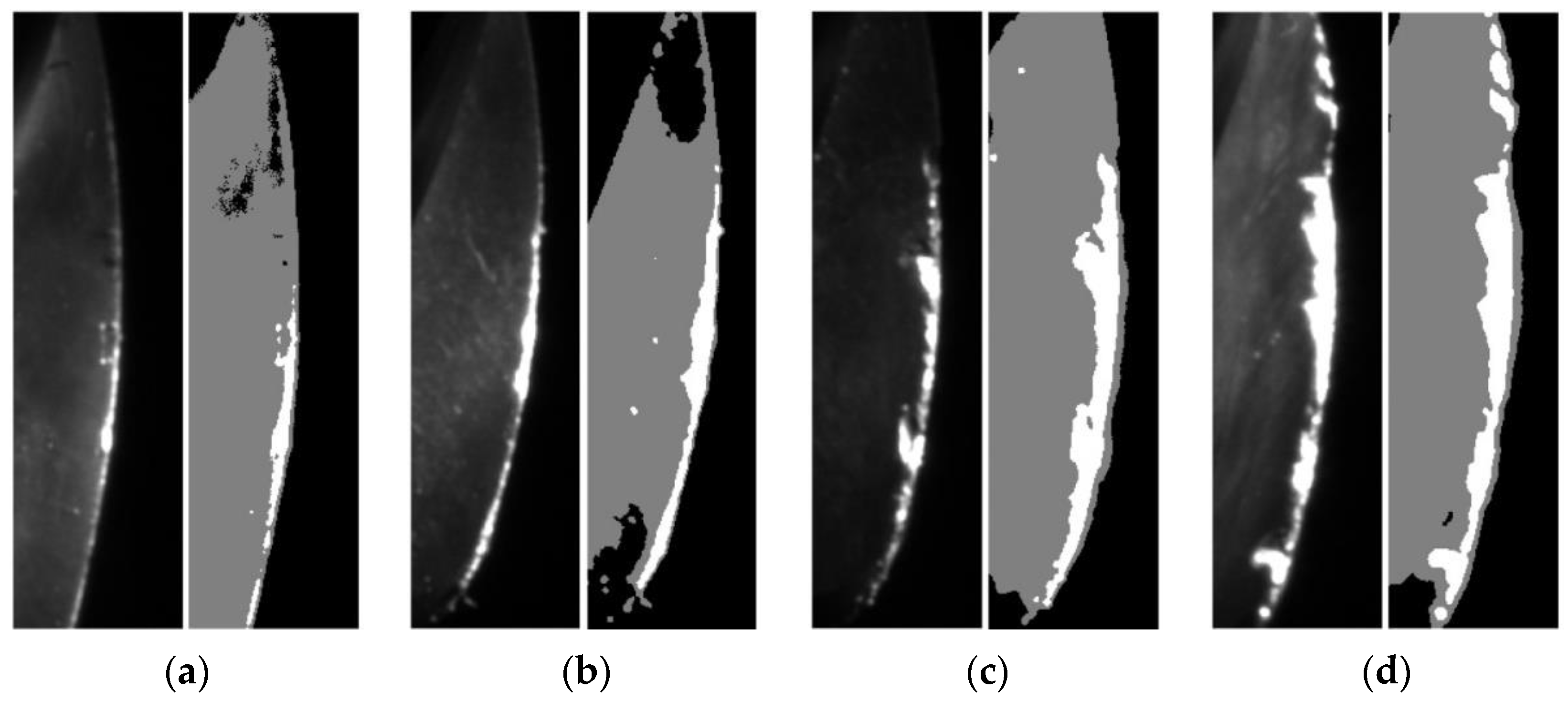 Materials 14 05690 g011 550