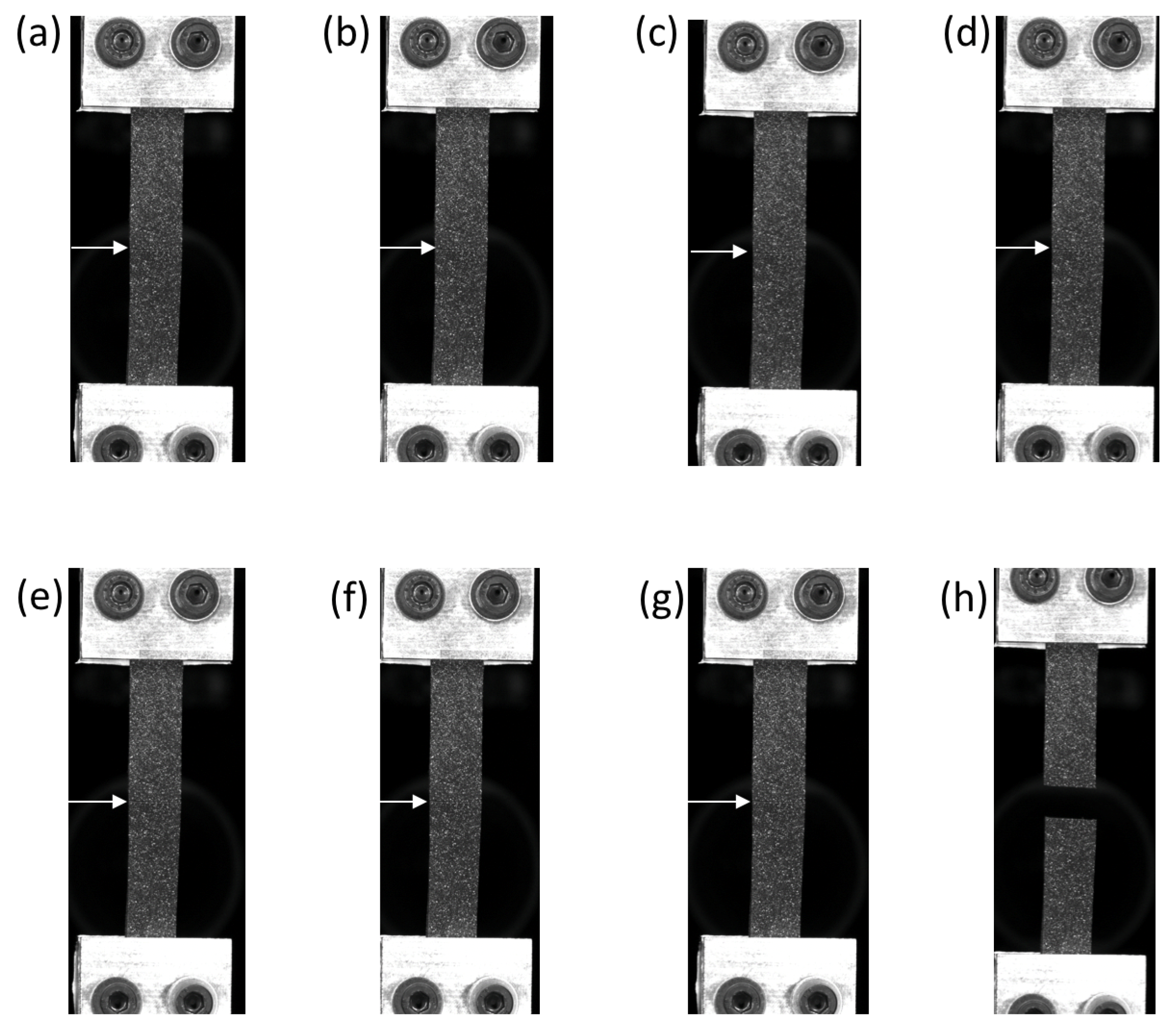 Materials 14 05704 g005