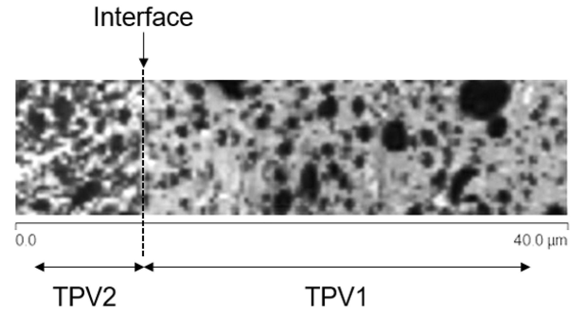 Materials 14 05704 g021