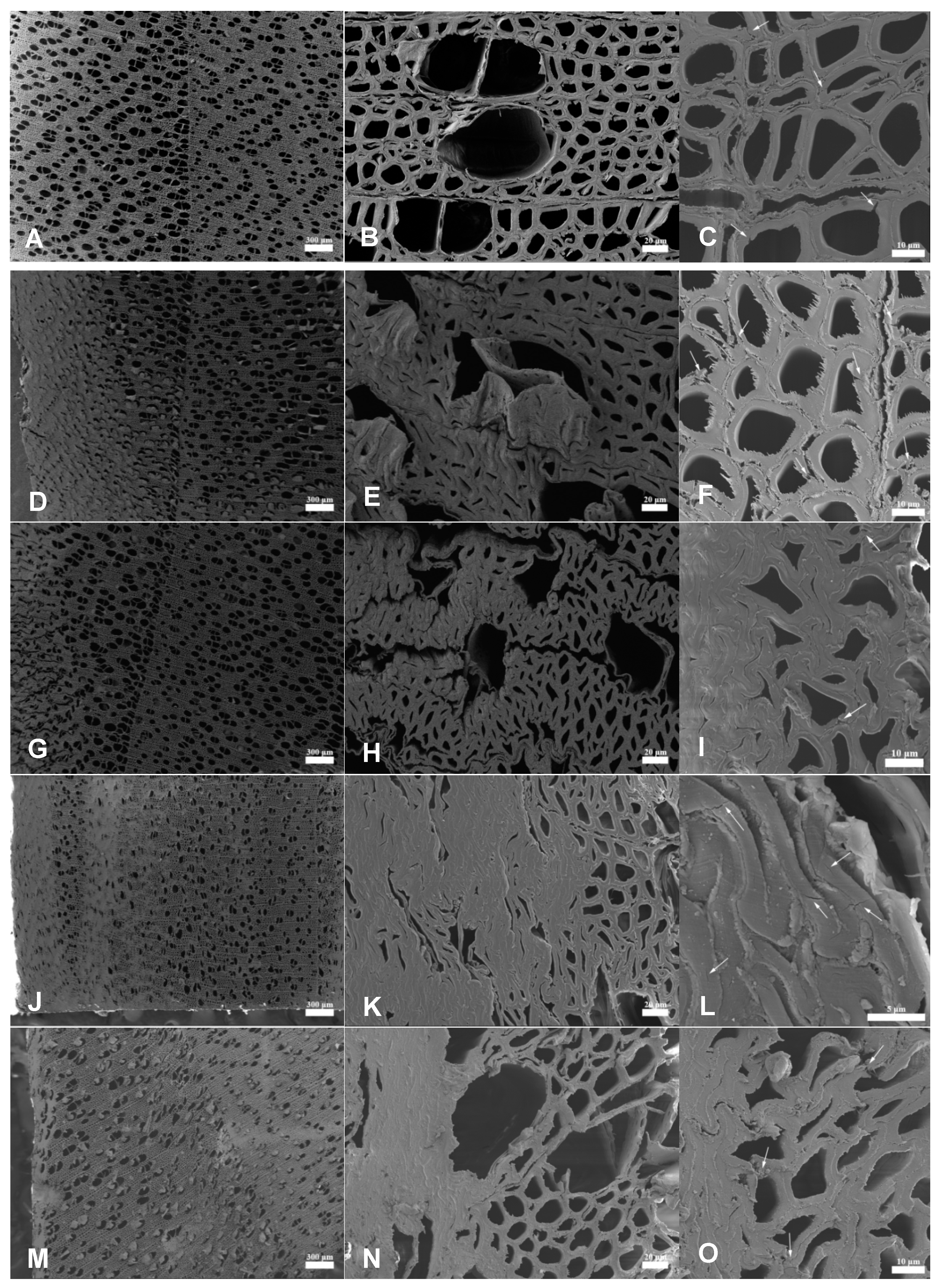 Materials 14 05709 g002 550