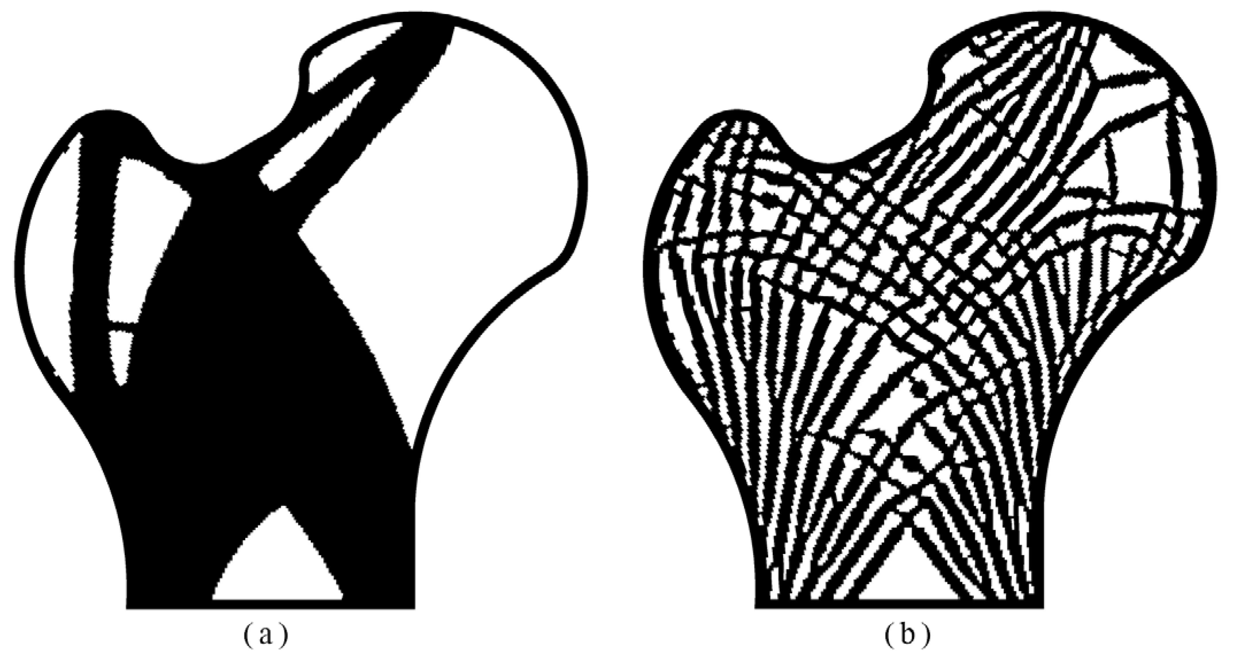 Materials 14 05726 g010 550