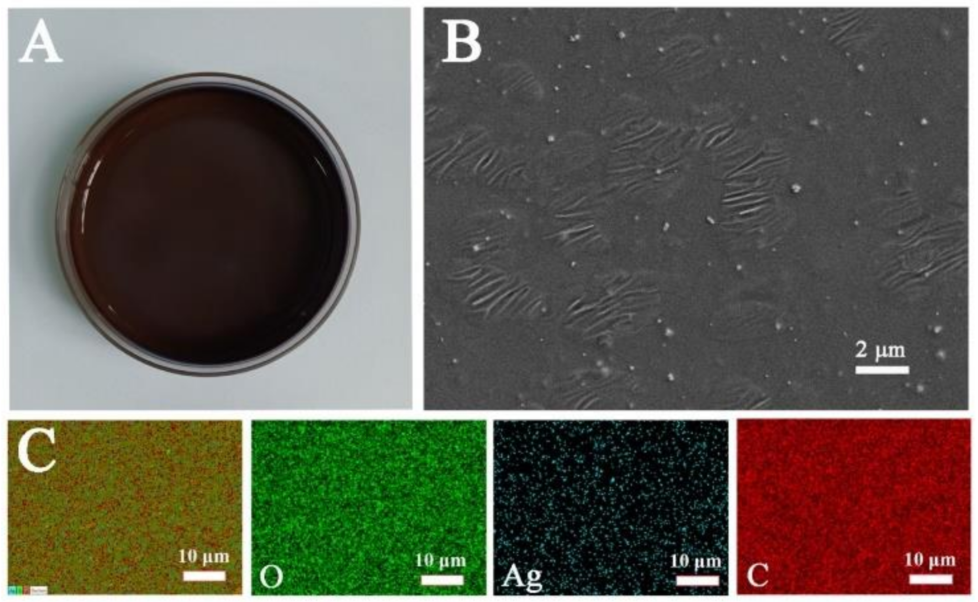 Materials 14 05750 g001