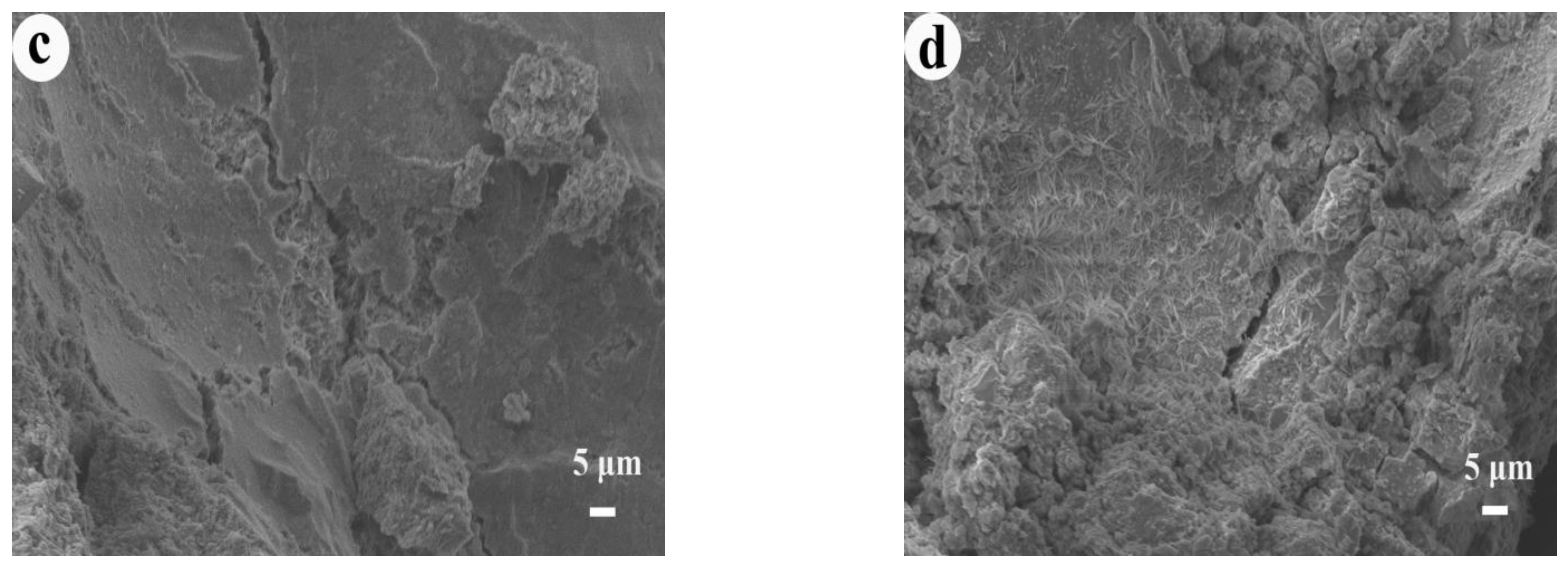 Materials 14 05751 g010b