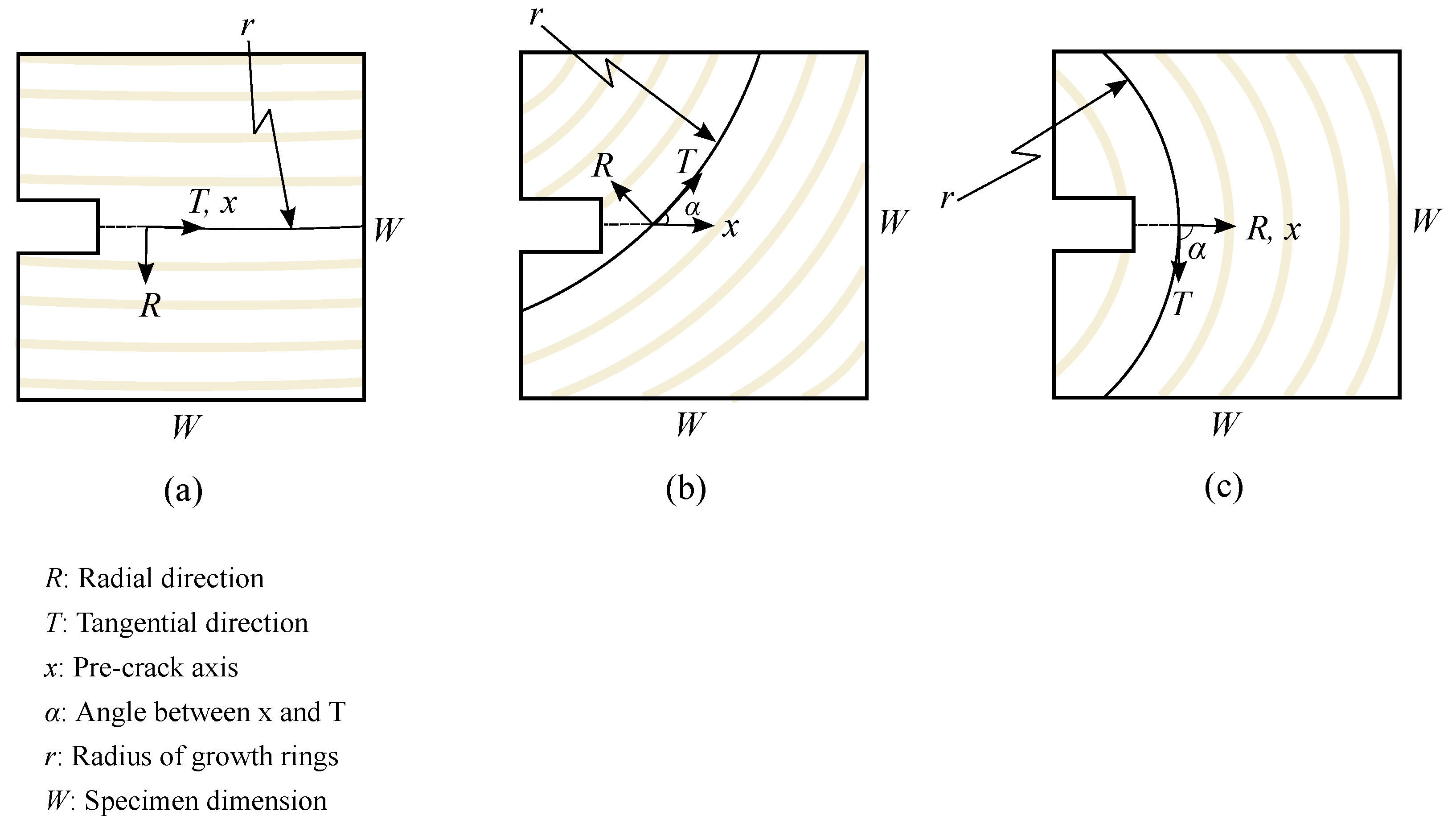 Materials 14 05755 g003 550