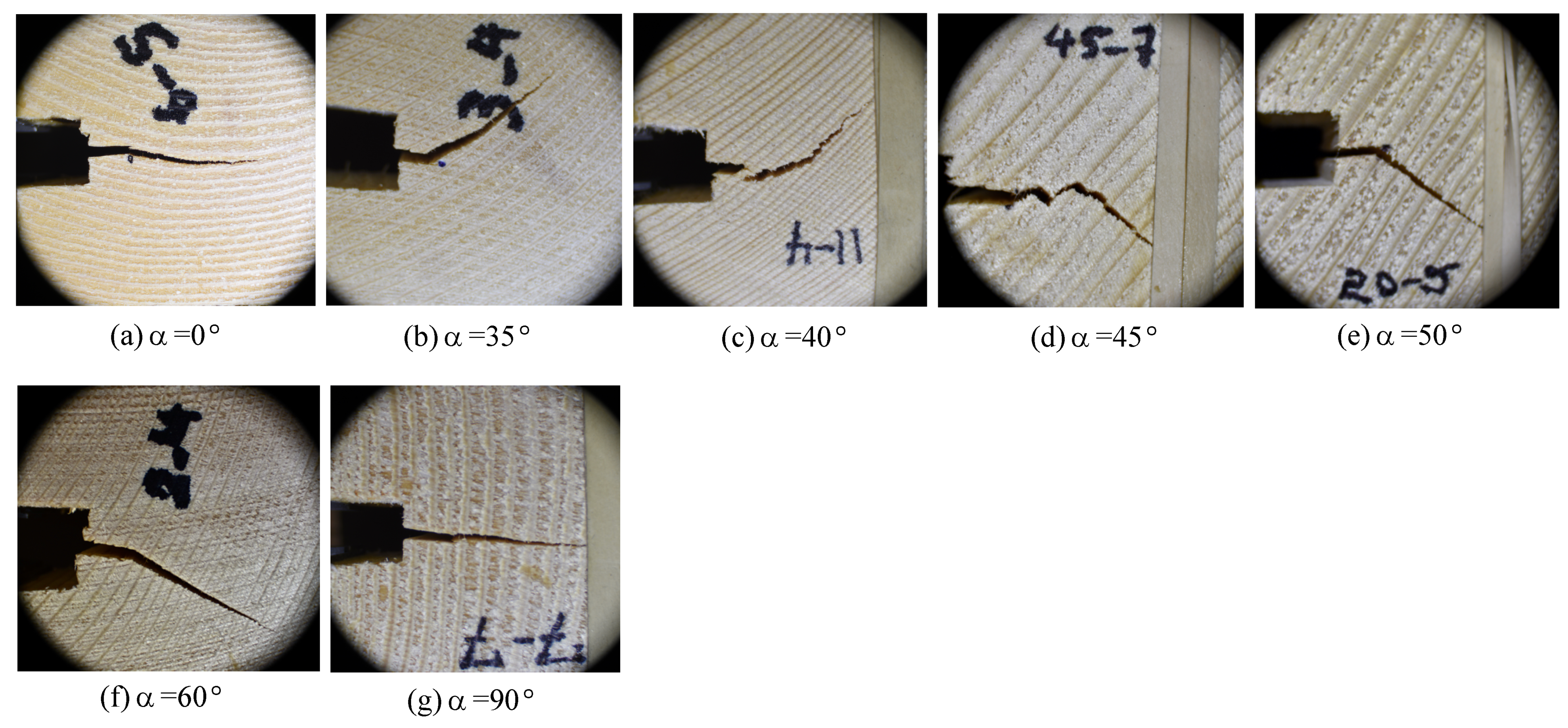 Materials 14 05755 g010 550