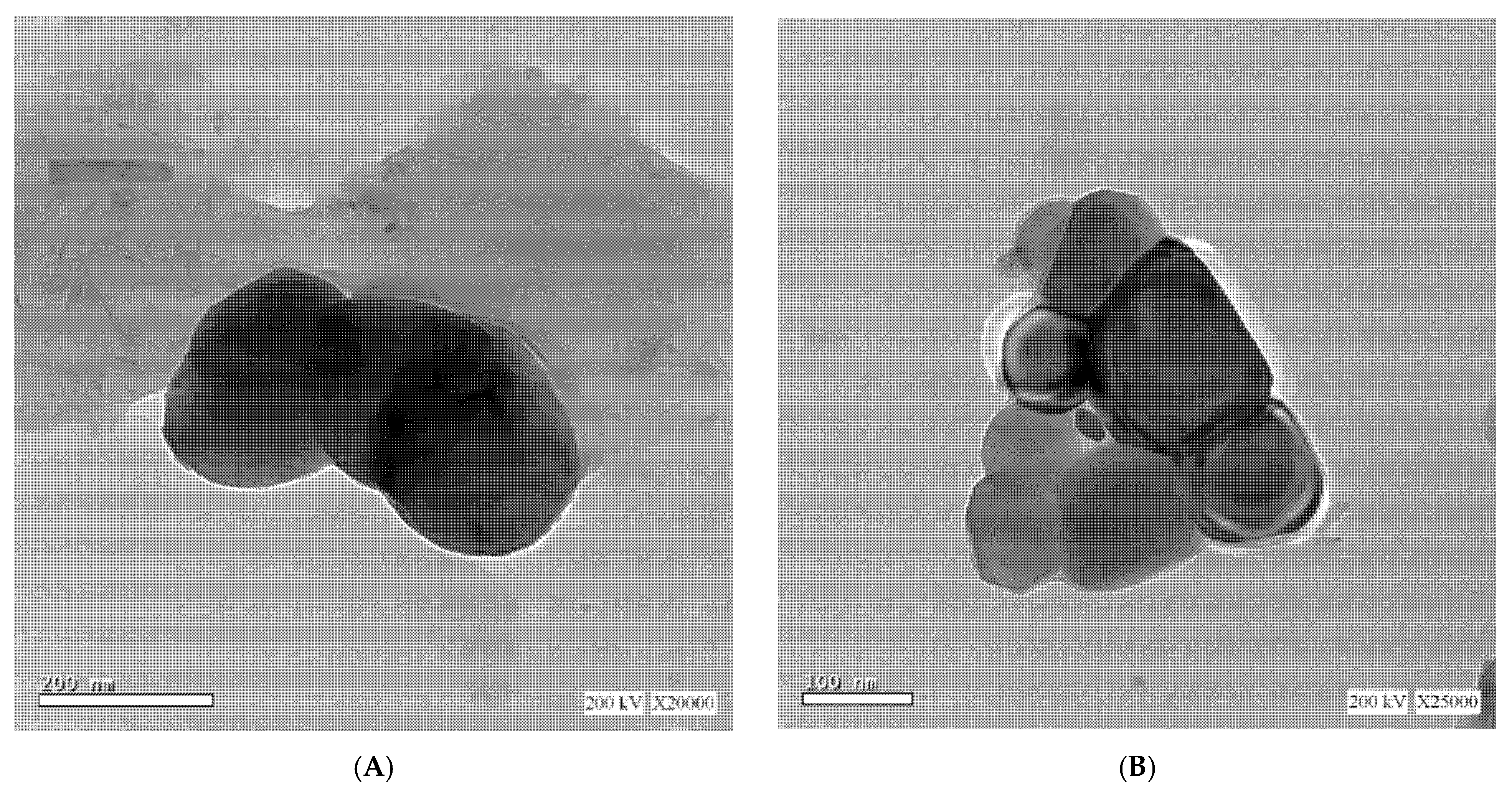 Materials 14 05759 g002 550