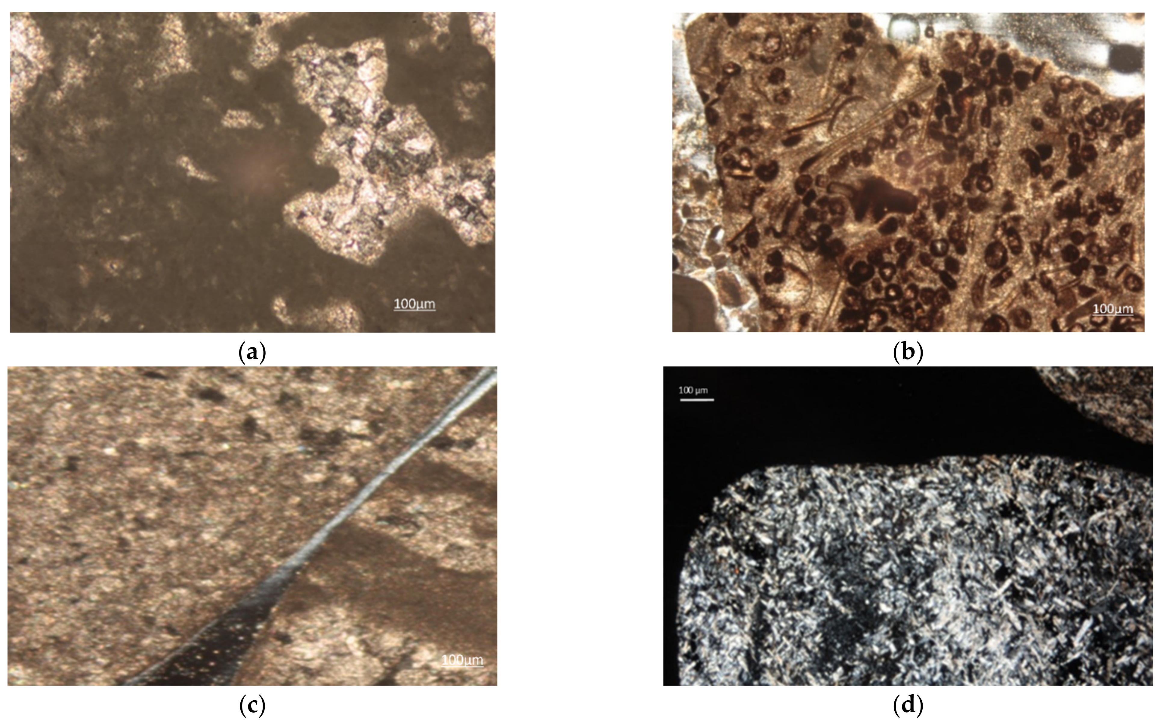 Materials 14 05763 g004a 550