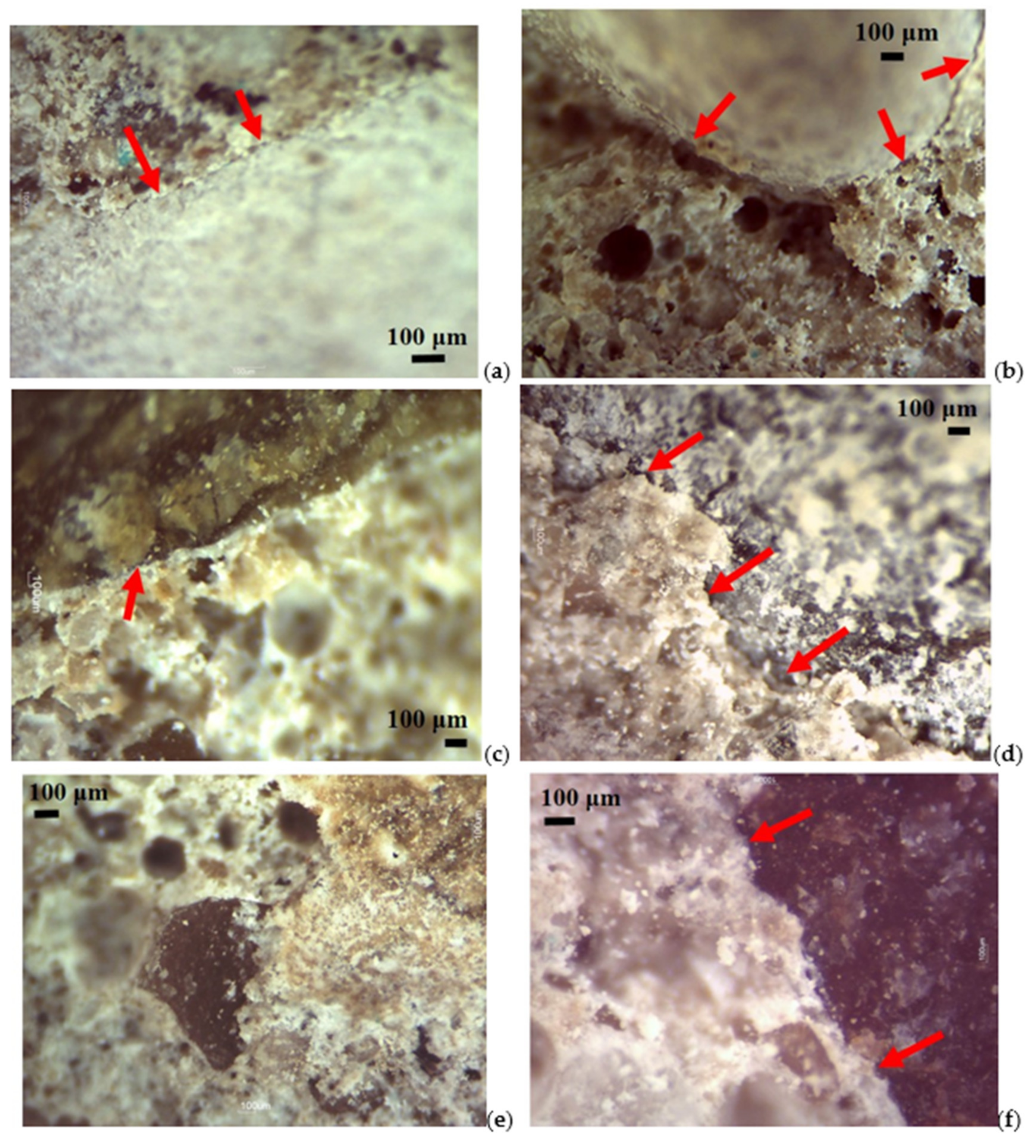 Materials 14 05763 g007 550