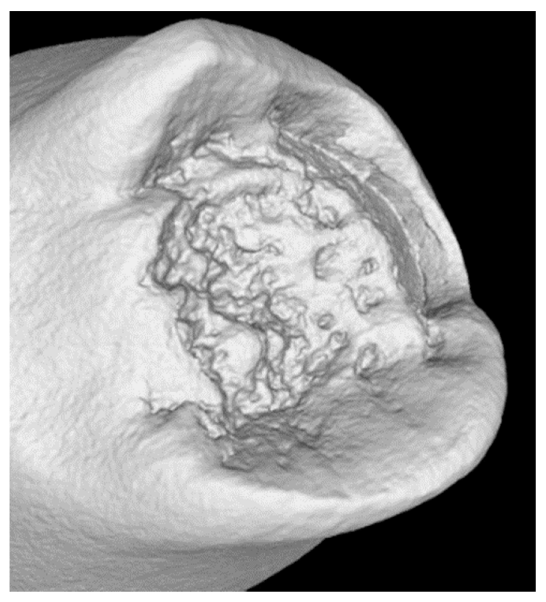 Materials 14 05766 g004 Materials 14 05766 g004