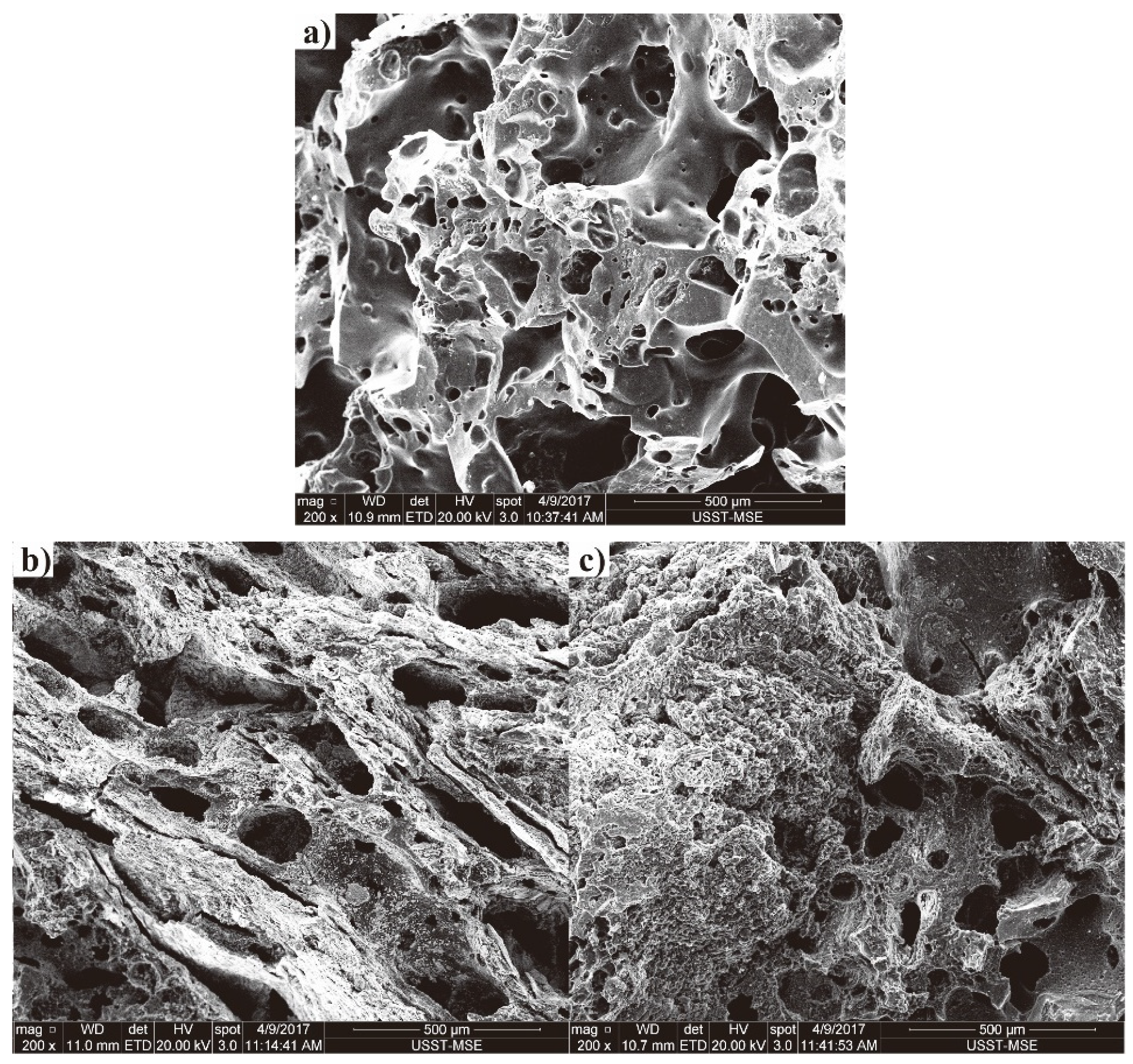 Materials 14 05767 g004 550