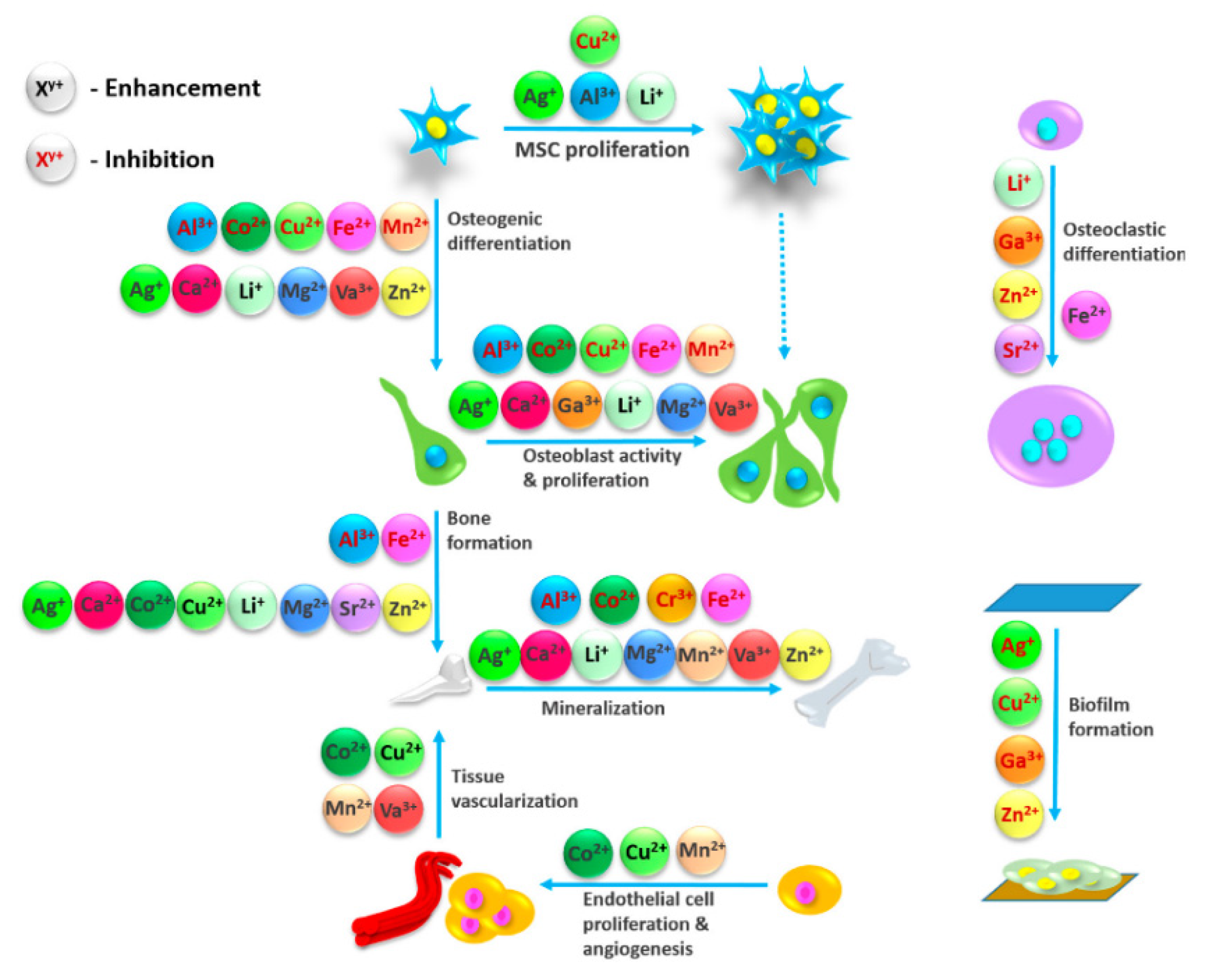 Materials 14 05772 g001 Materials 14 05772 g001