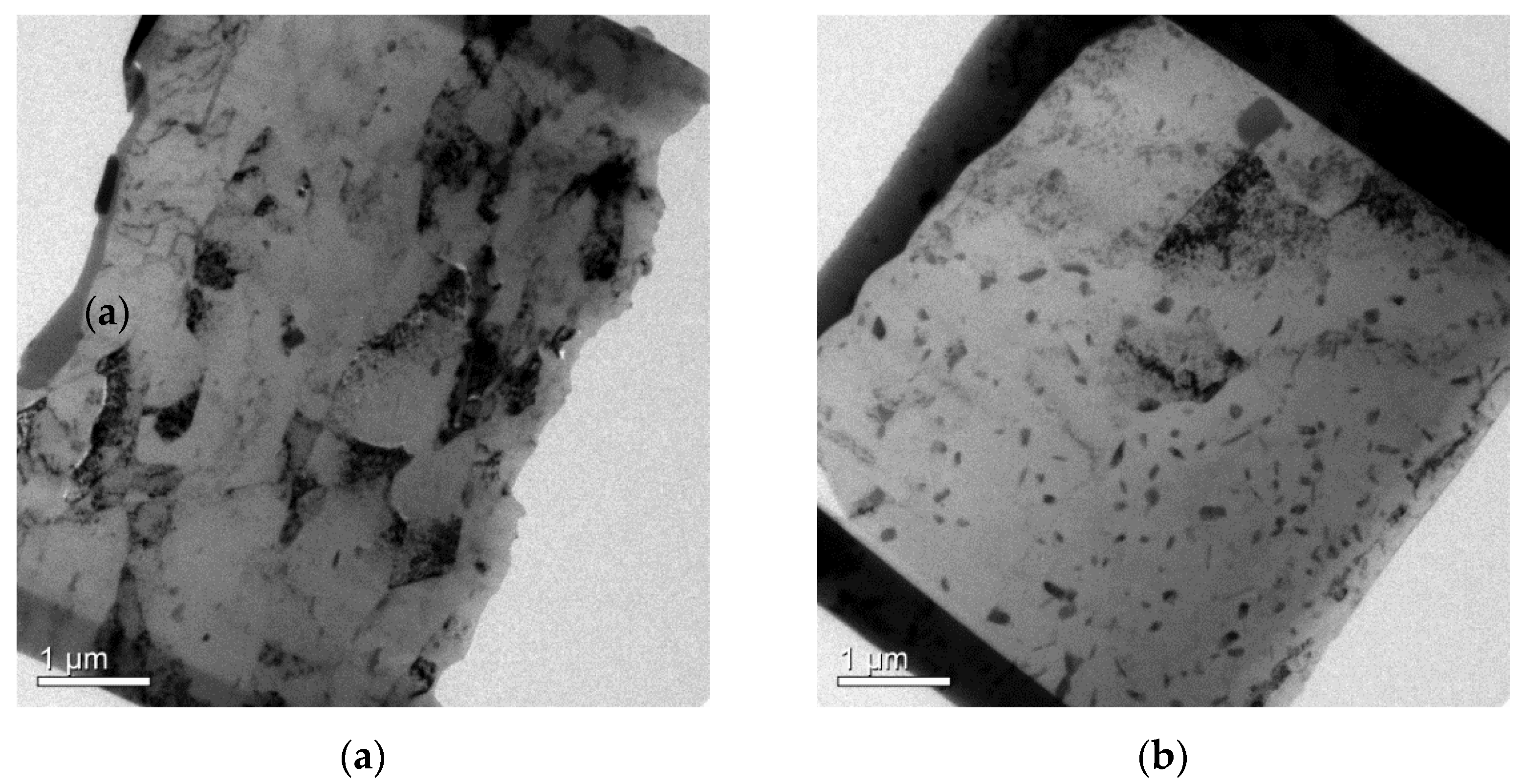 Materials 14 05776 g005