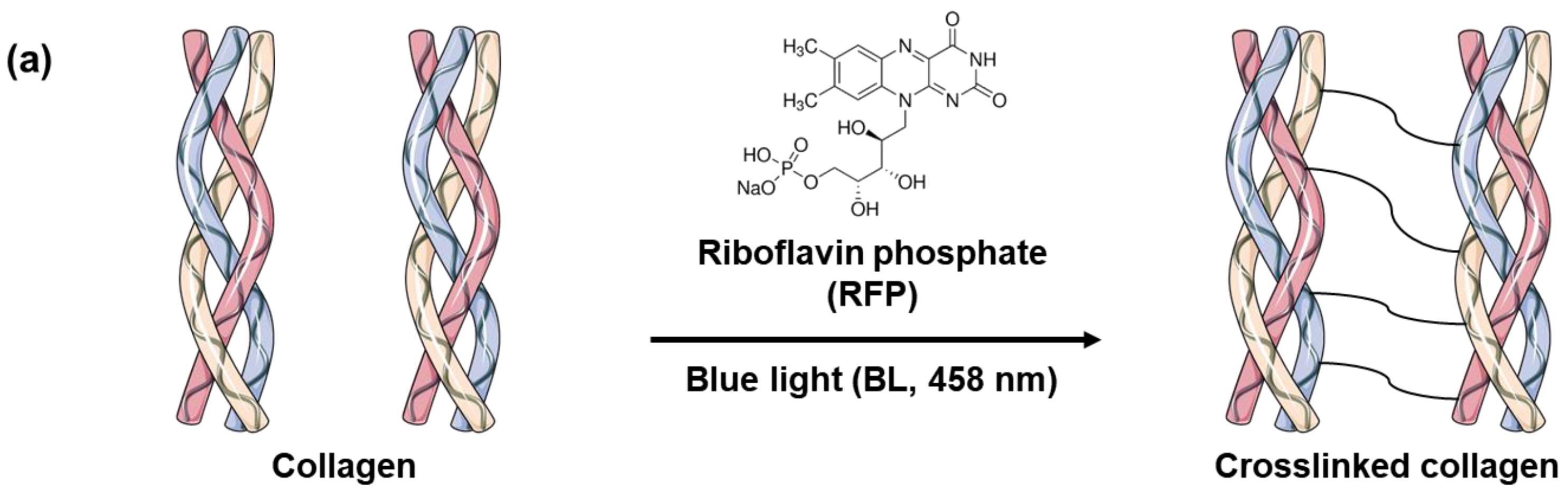 Materials 14 05788 g001a