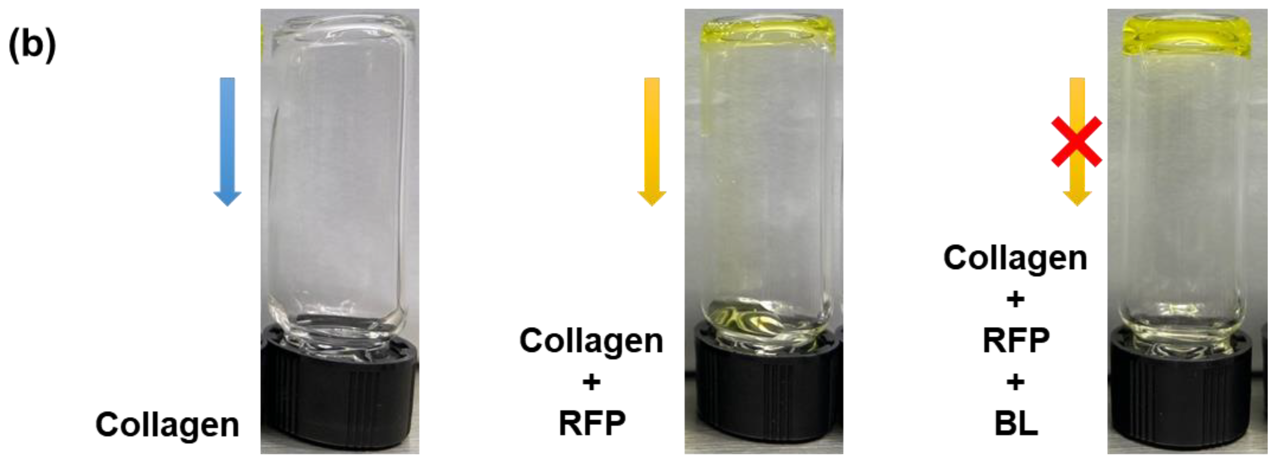 Materials 14 05788 g001b