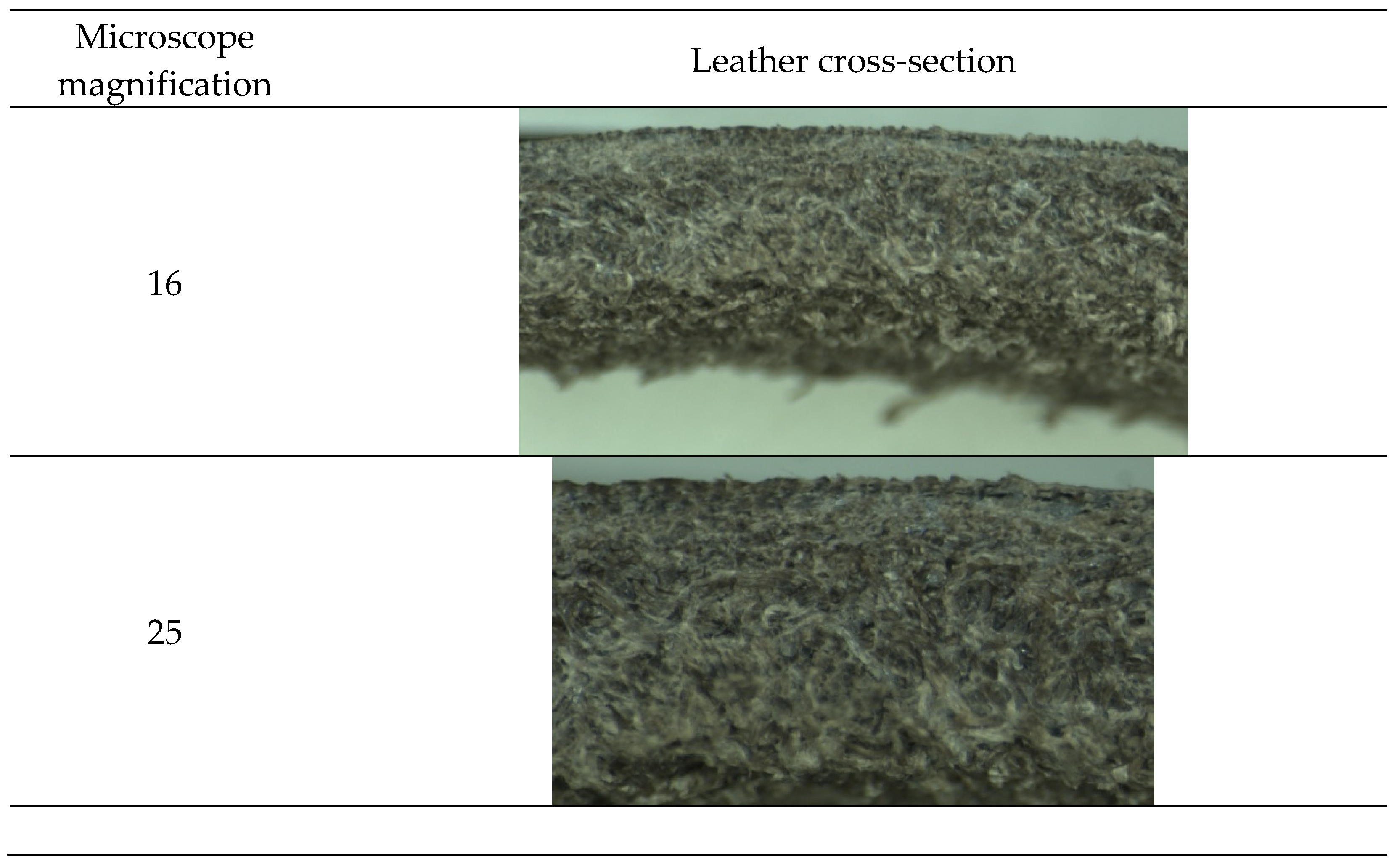 Materials 14 05790 g007 550