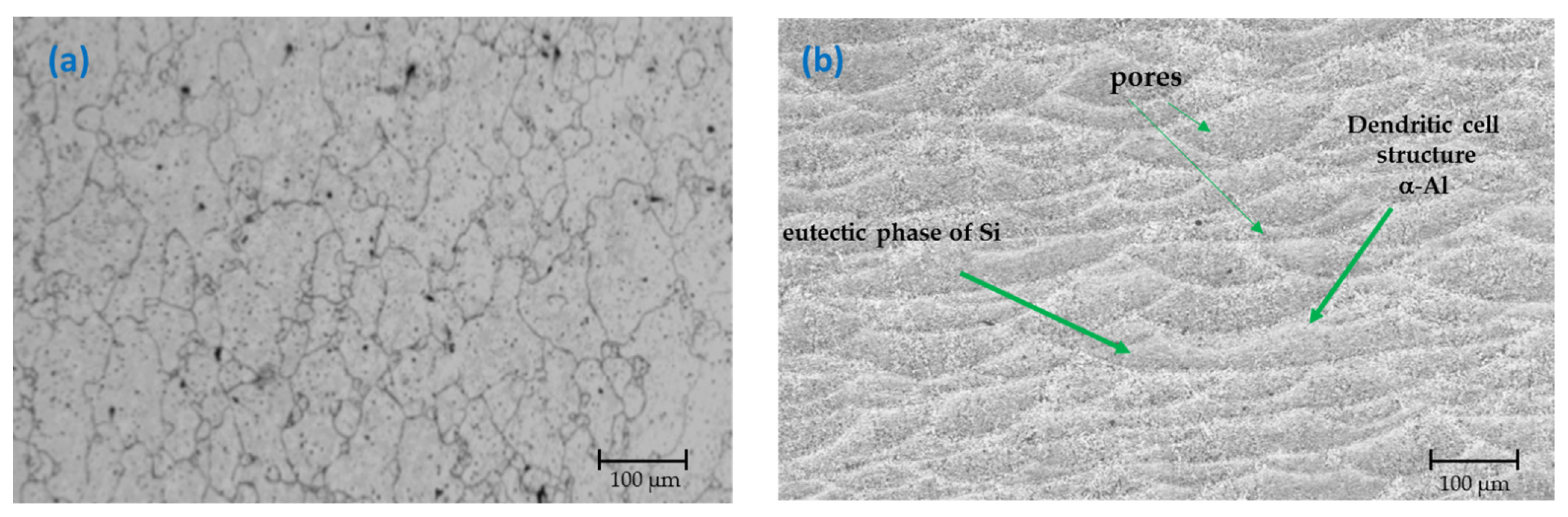 Materials 14 05793 g001