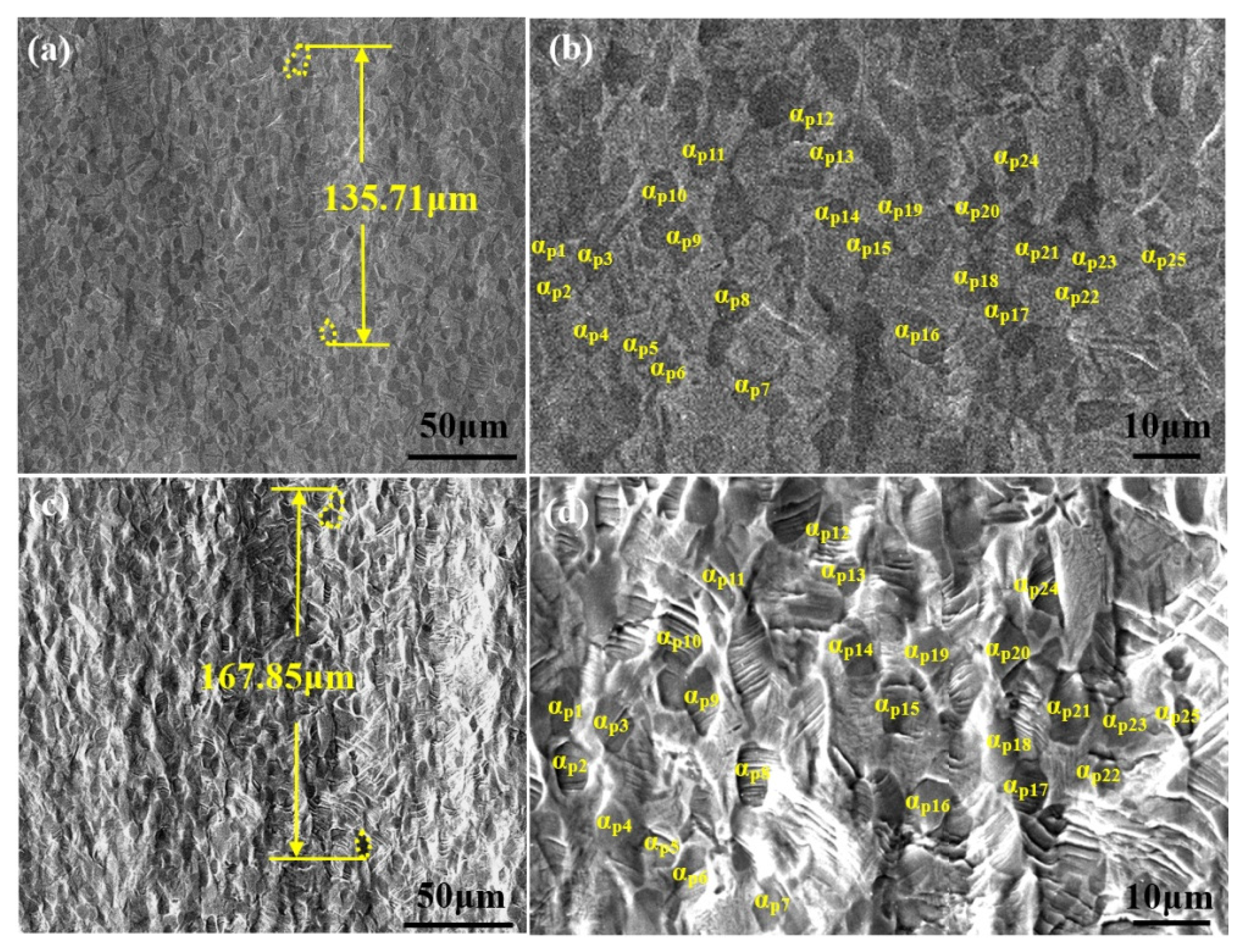 Materials 14 05794 g008 550
