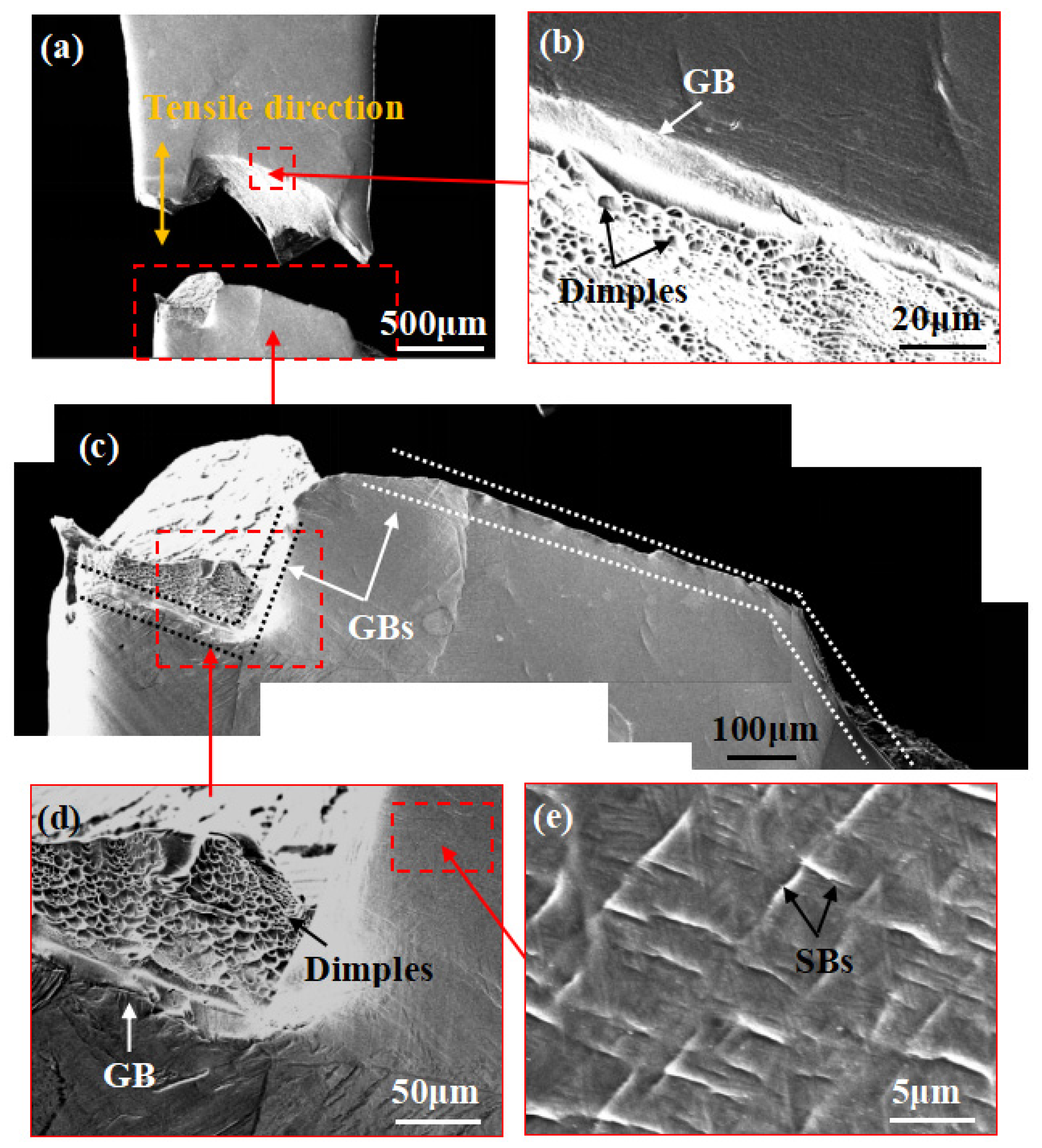 Materials 14 05794 g011 550