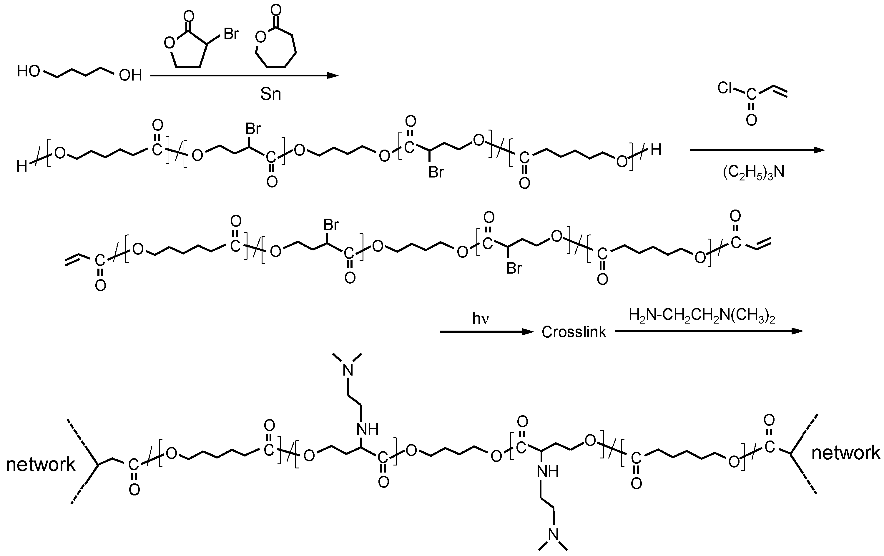 Materials 14 05797 g001 550